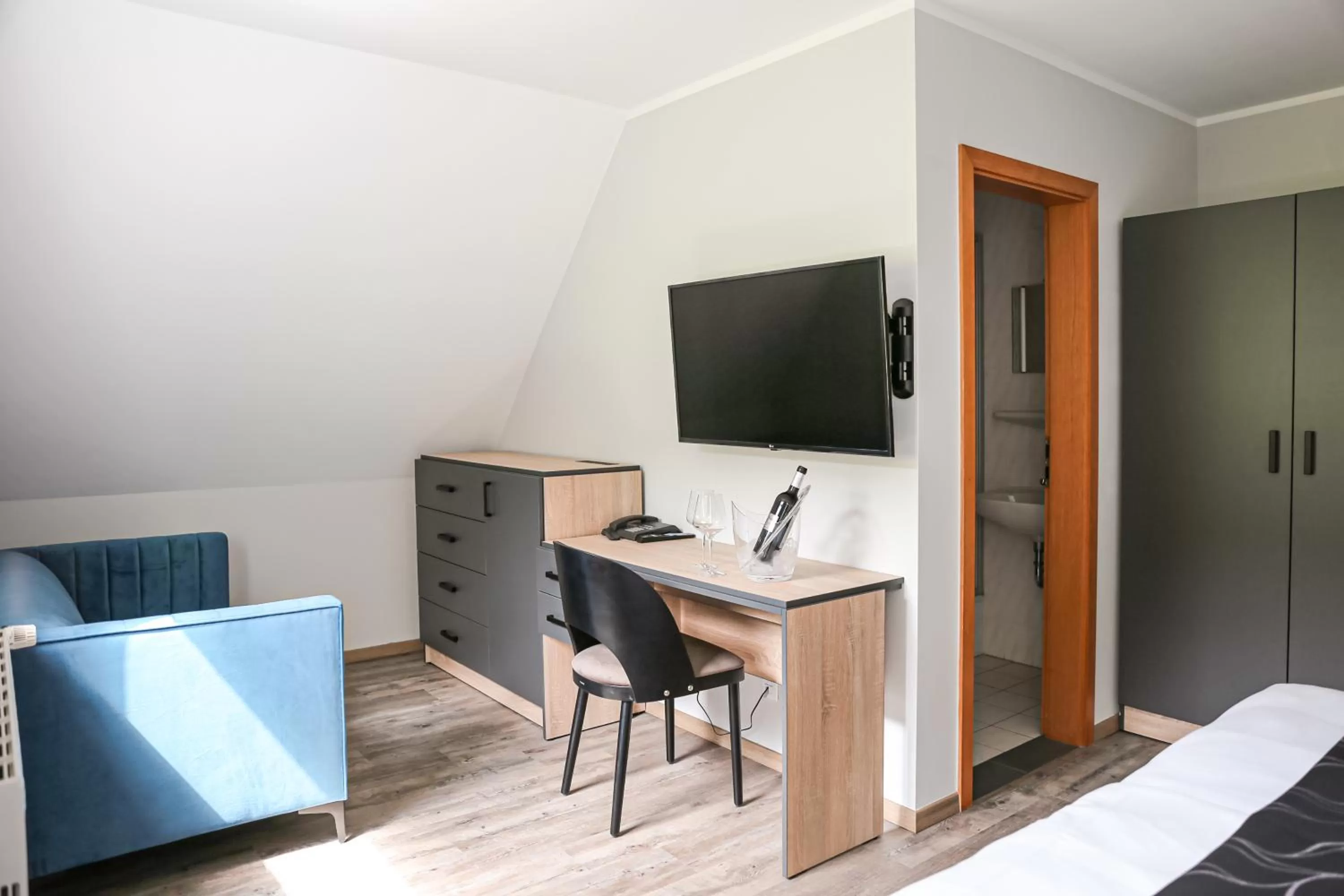 TV and multimedia in Hotel Waldeslust