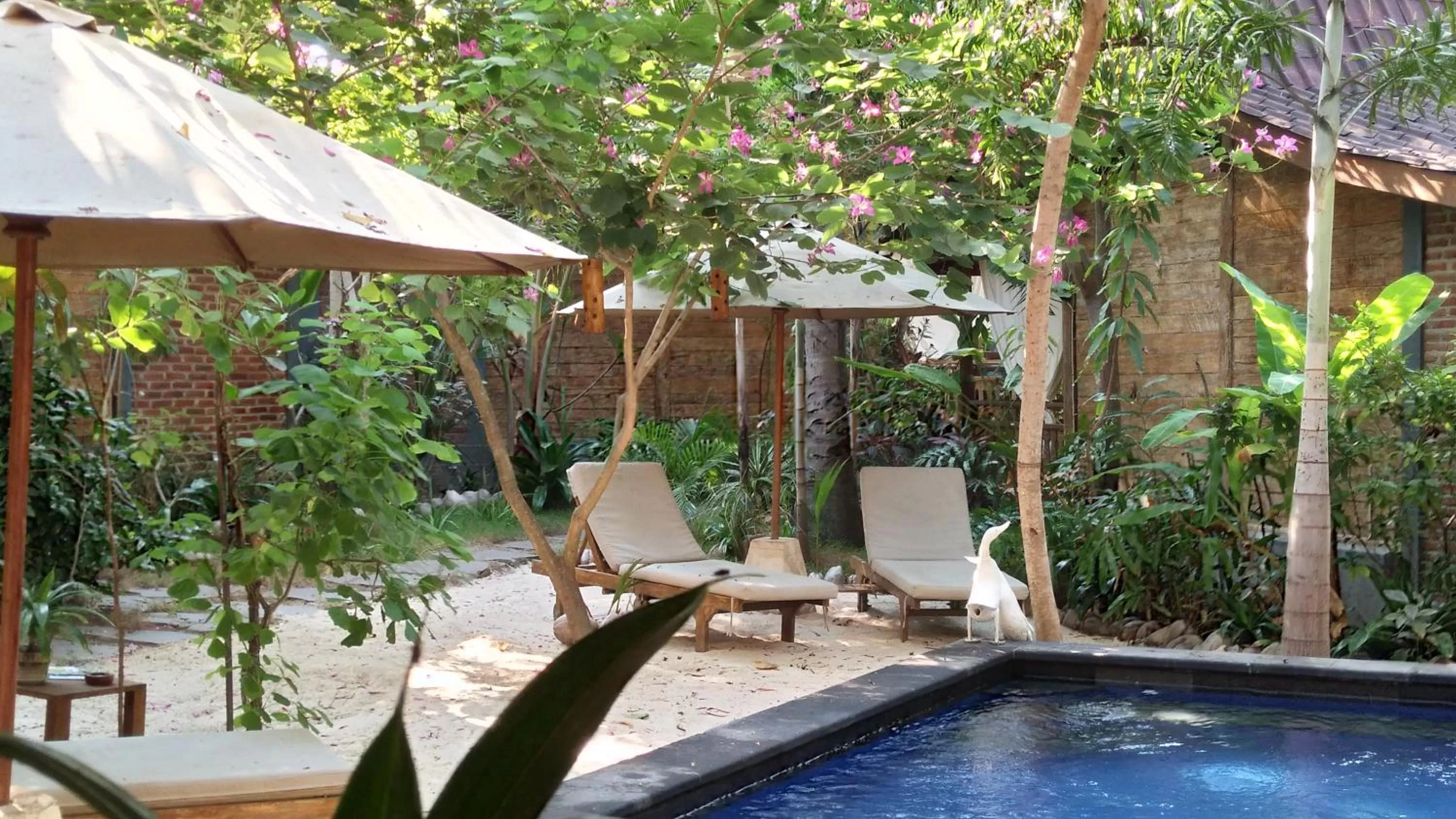 Pool view in Villas Light House - Eco-Traditional Joglo