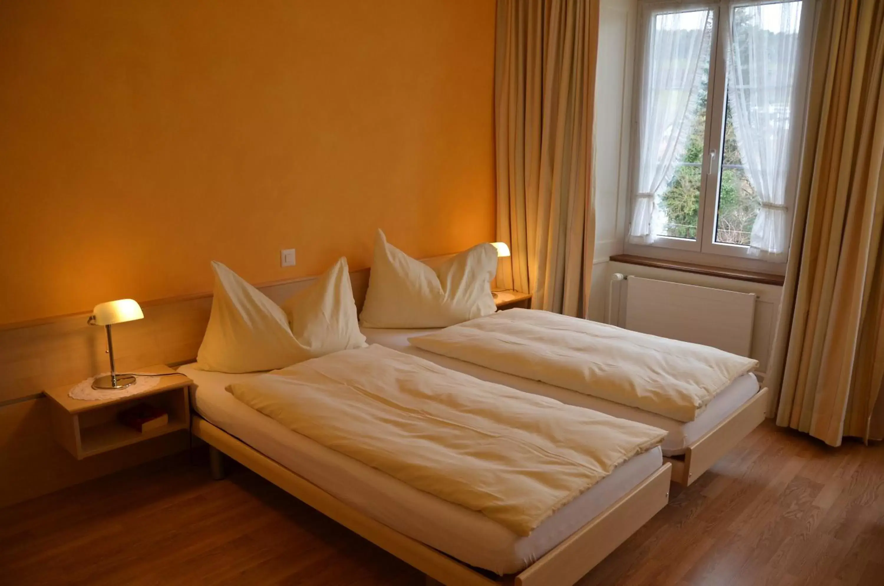 Double Room in Gasthaus zum Löwen Double Room in Gasthaus zum Löwen