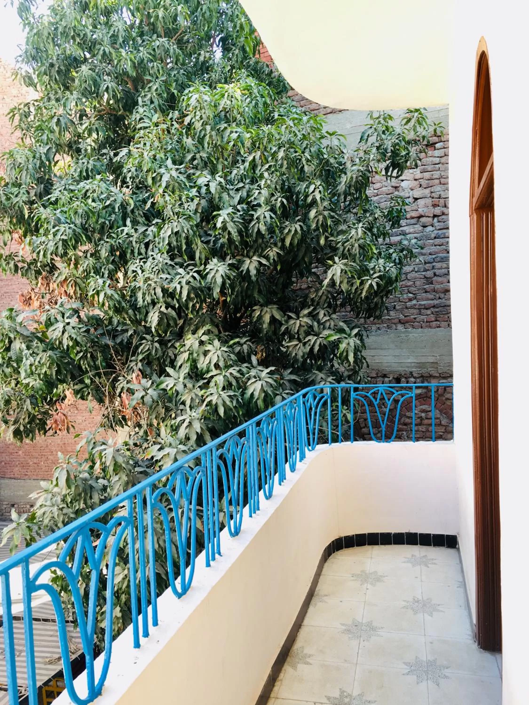 Balcony/Terrace in Sunflower Guest House Luxor West Bank