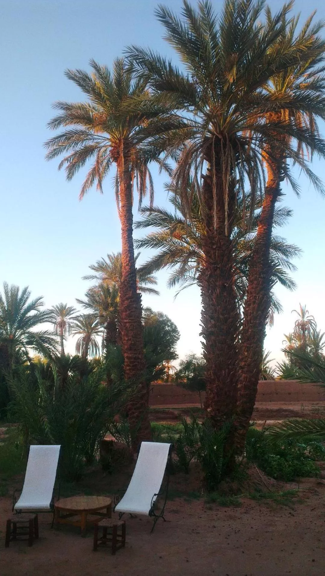 Garden, Swimming Pool in Dar Paru