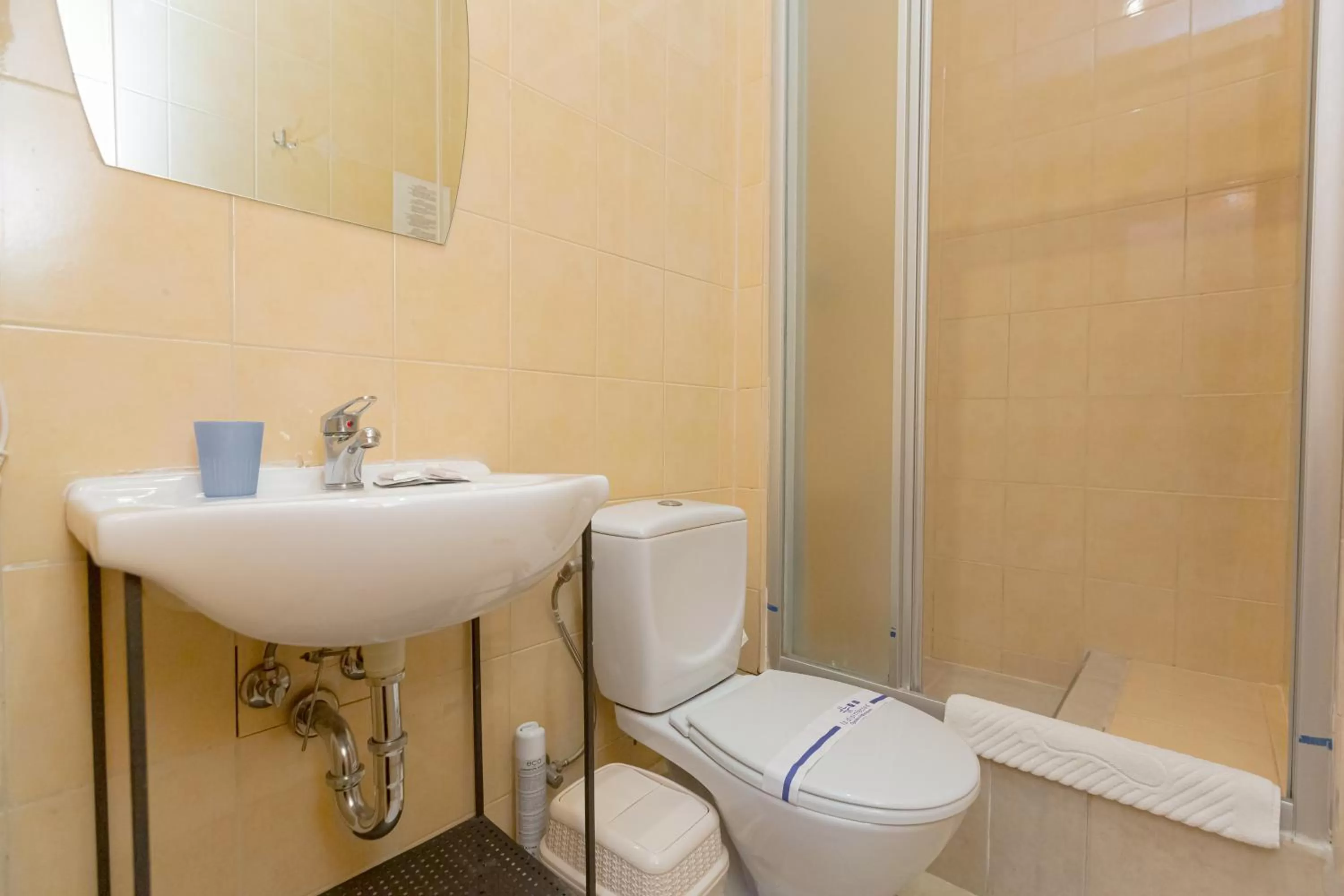 Bathroom in Staryi Krakiv