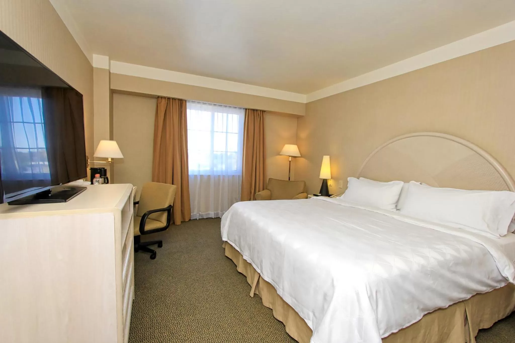 Photo of the whole room, Bed in Holiday Inn Leon-Convention Center by IHG