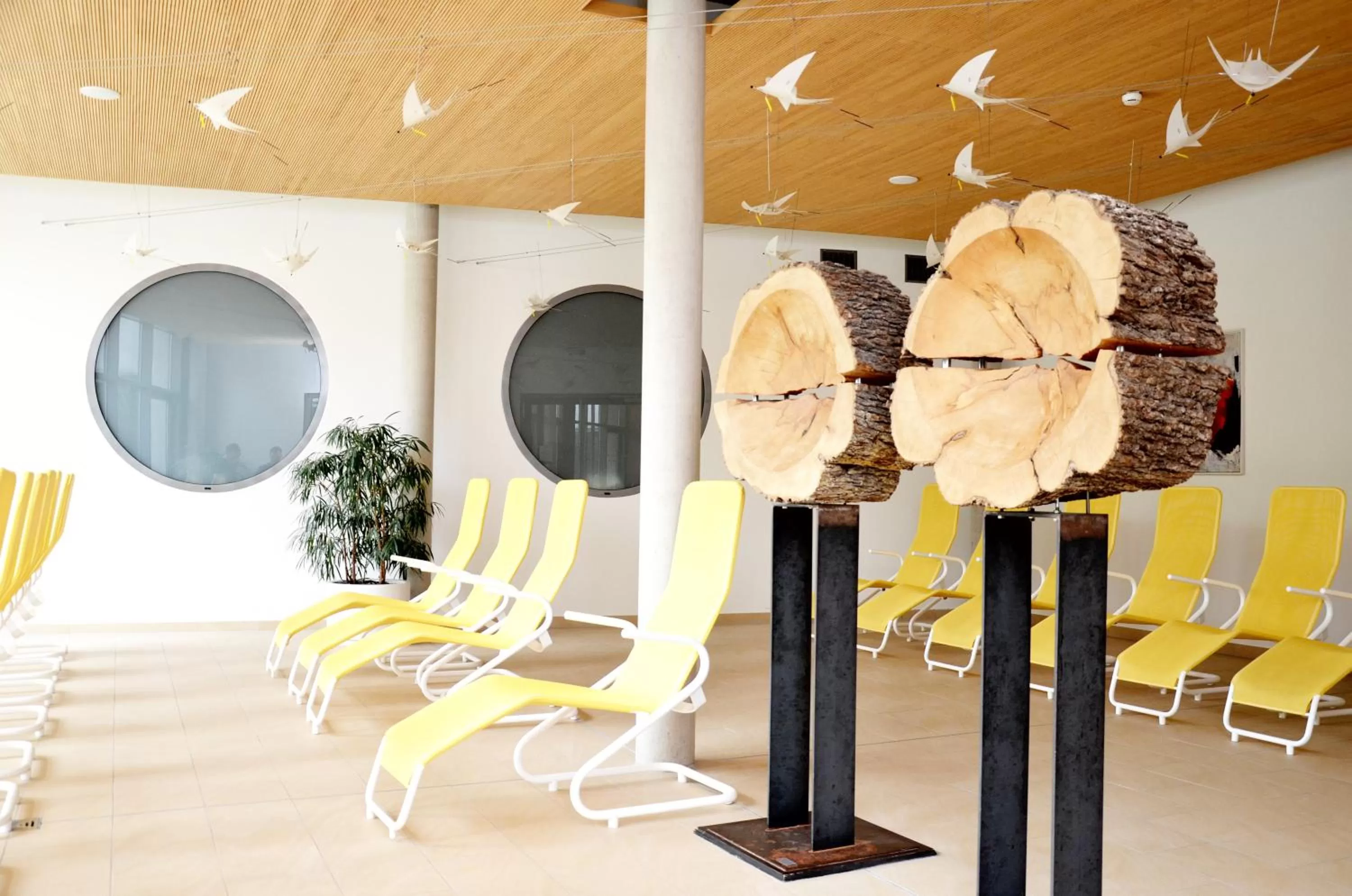 Hot Spring Bath in feelMOOR - Gesundresort Bad Wurzach