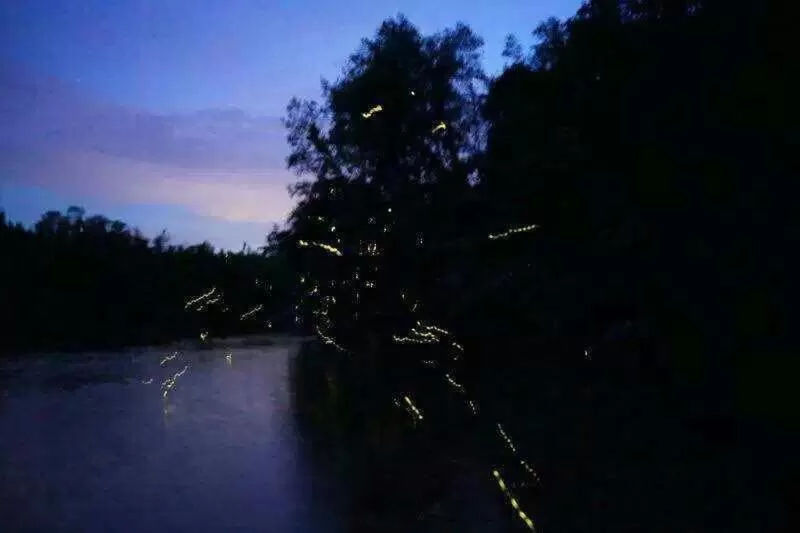 Dragon Pearl Beach Resort