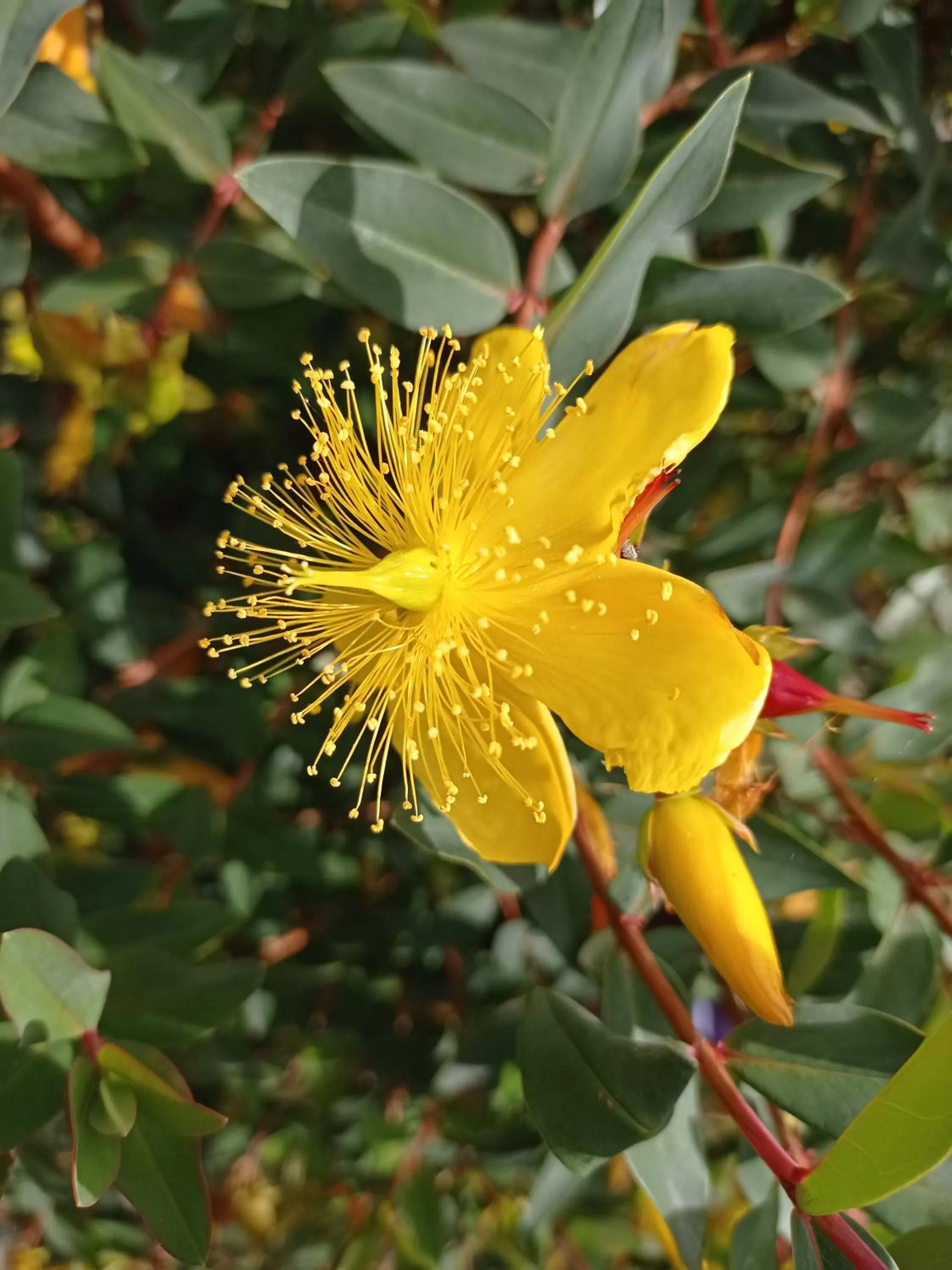 Hotel Refugio Pozo Azul