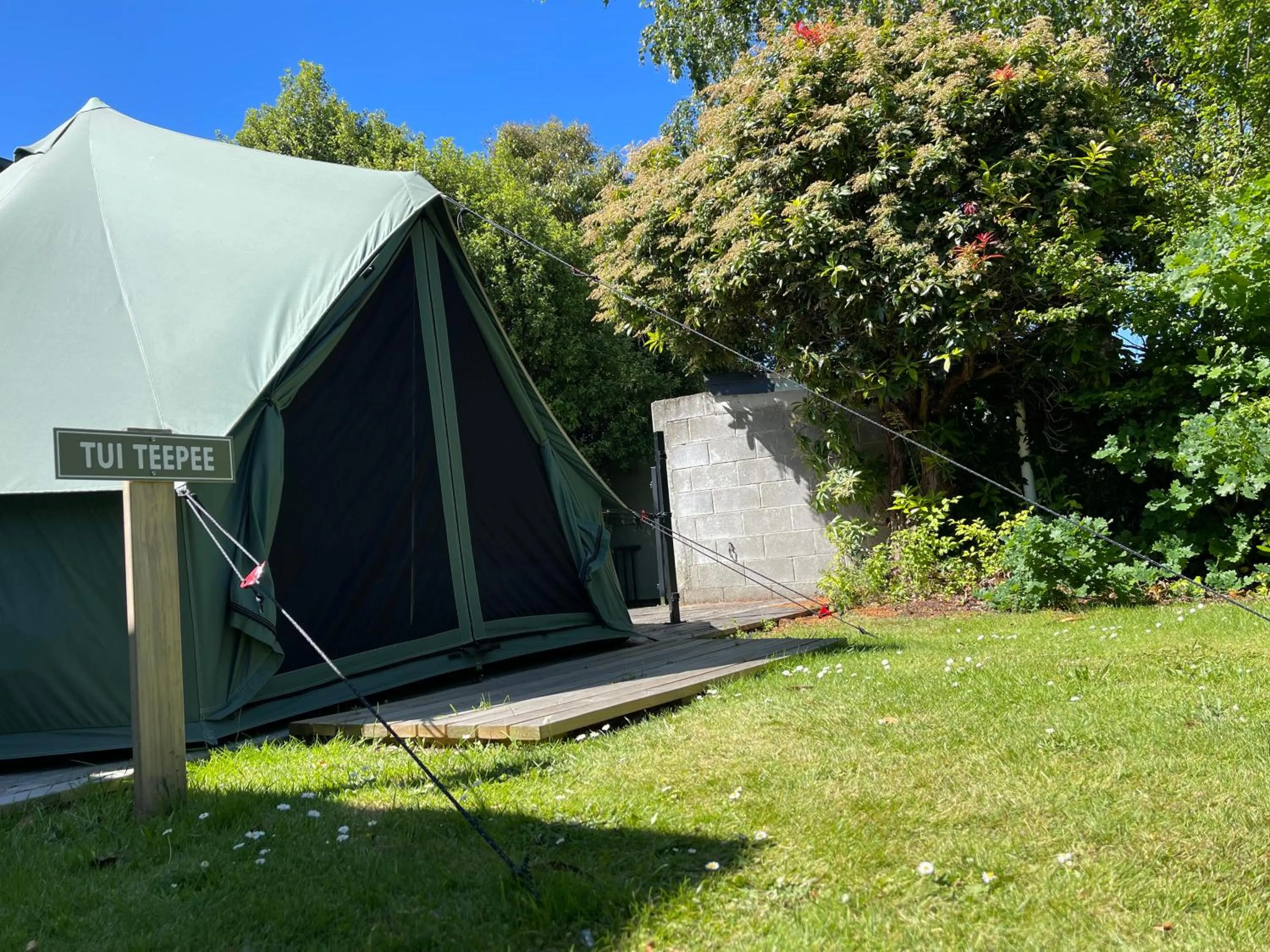 Te Anau Lakefront Backpackers