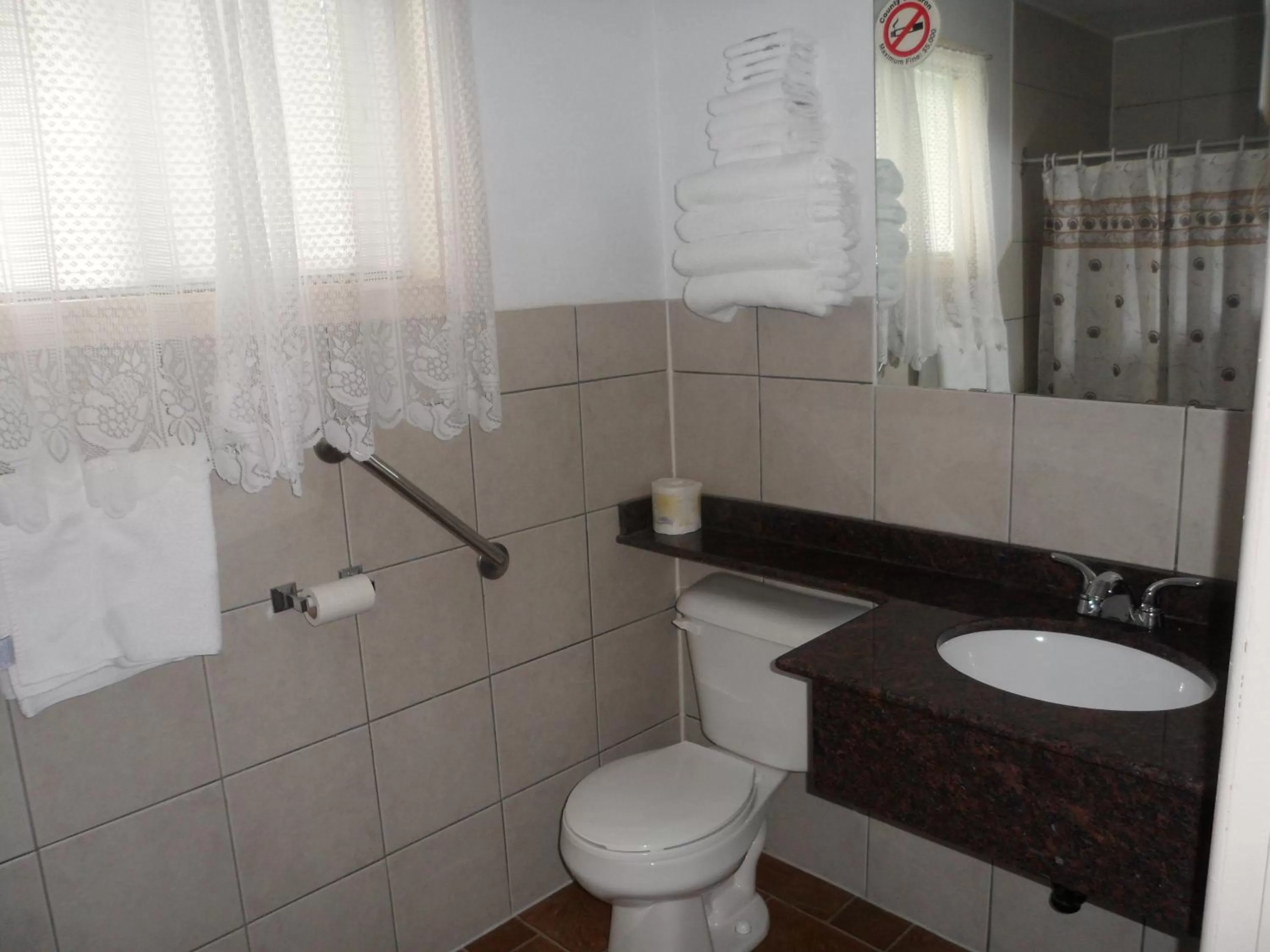 Toilet in The Silver Birch Motel