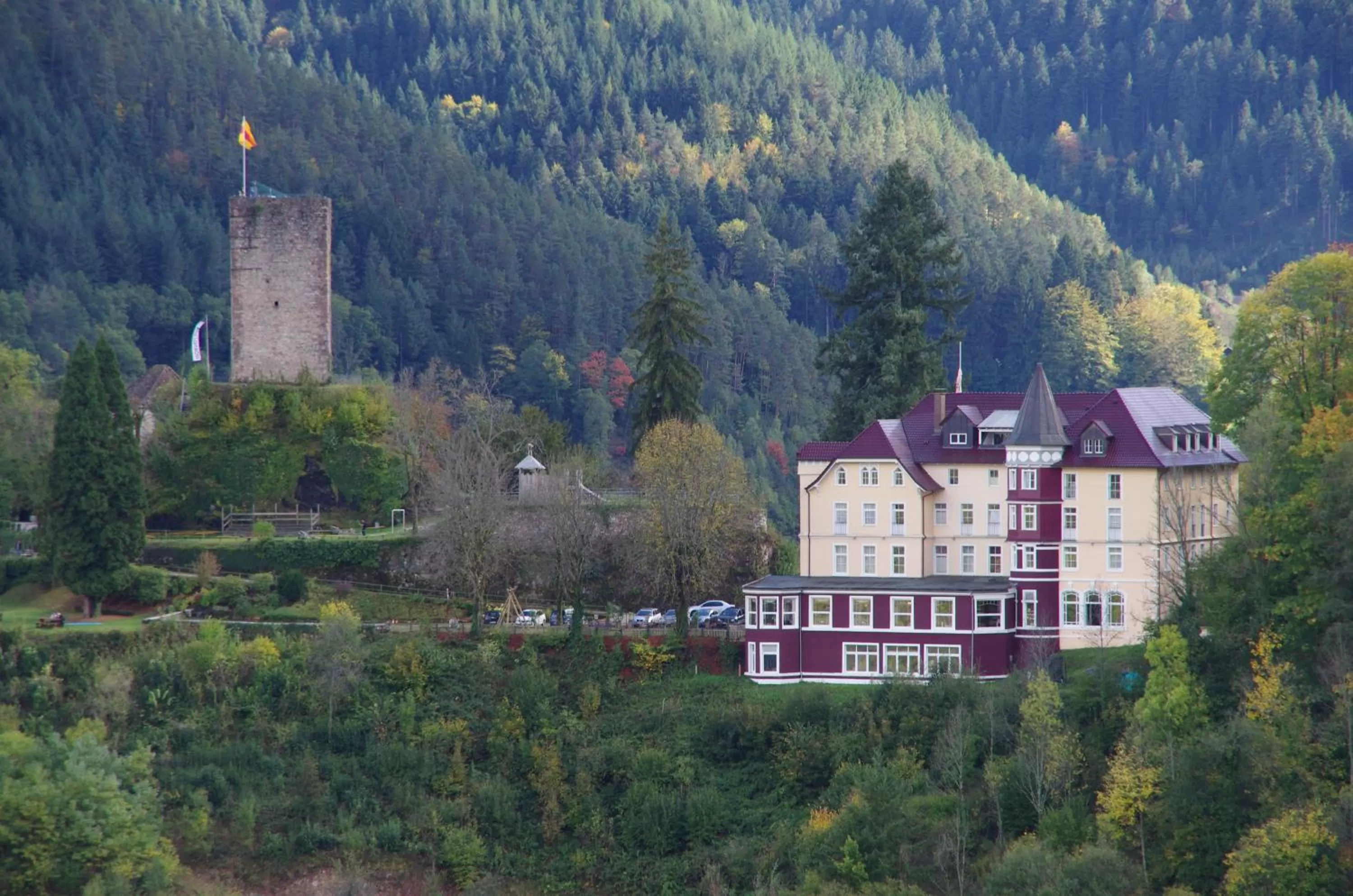 Bird's eye view in Hotel Schloss Hornberg