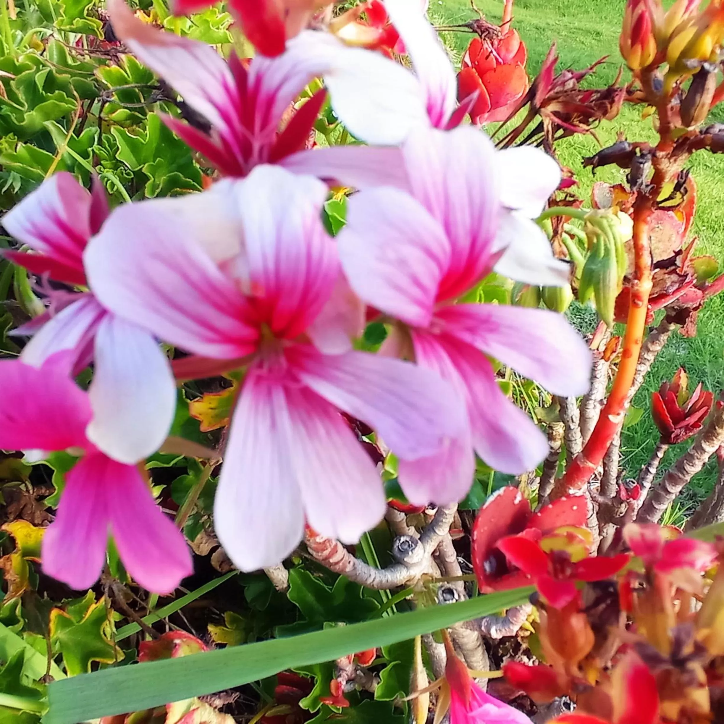 Hotel Refugio Pozo Azul