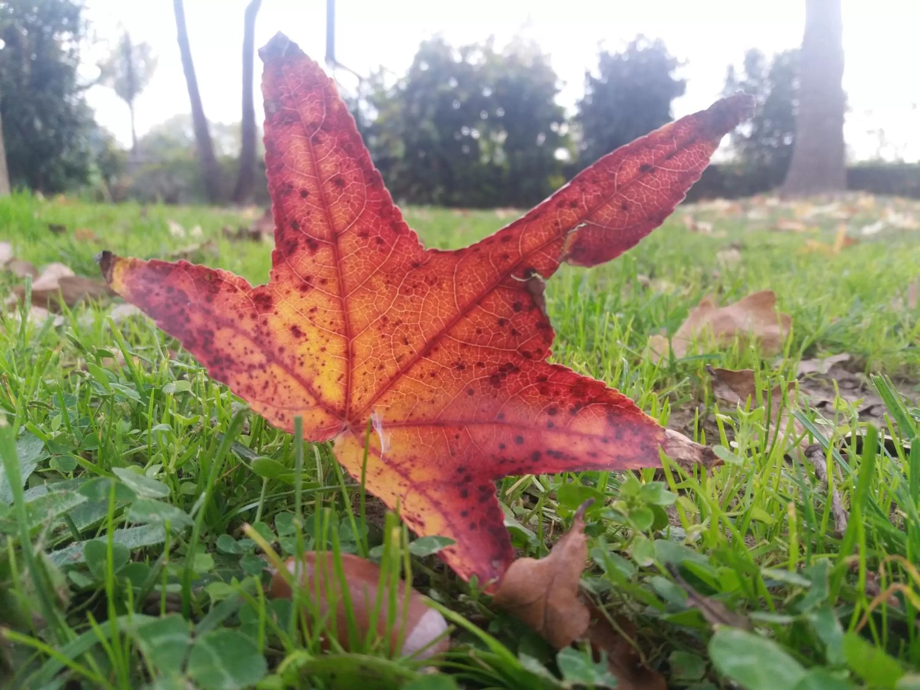 Garden in R&B un mondo a colori