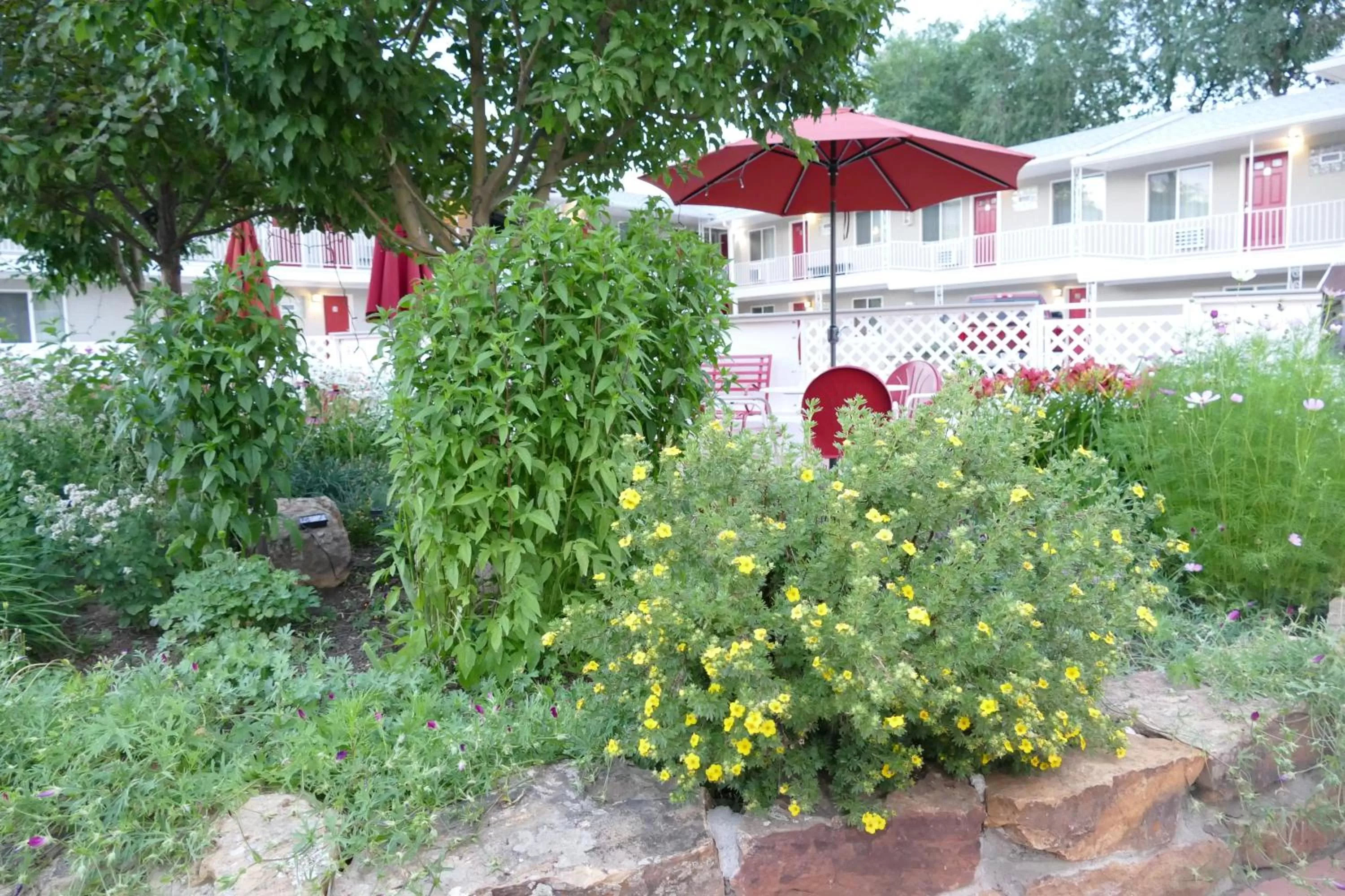 Garden in Red Wing Motel