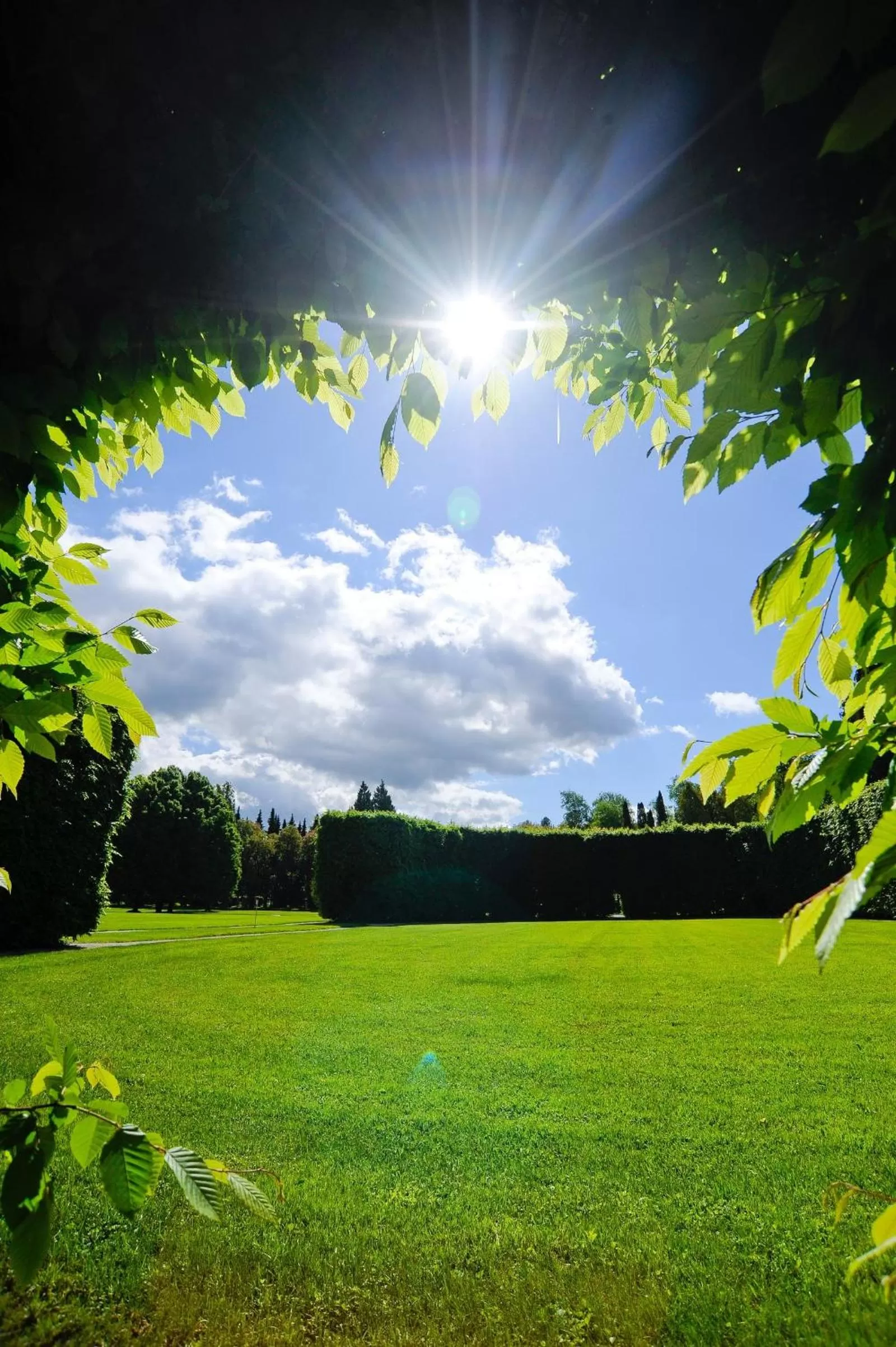Garden in Elegans Hotel Brdo