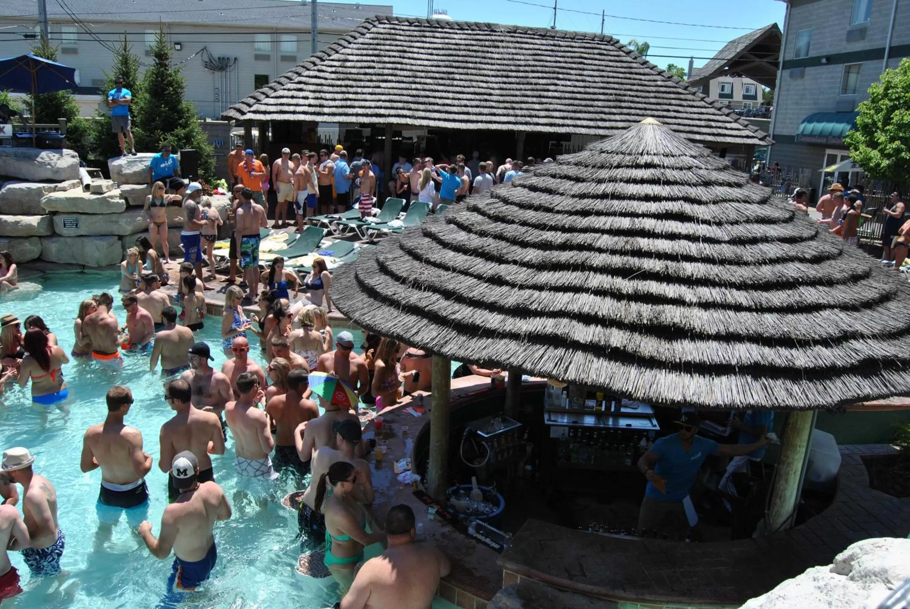Swimming pool in Commodore Resort