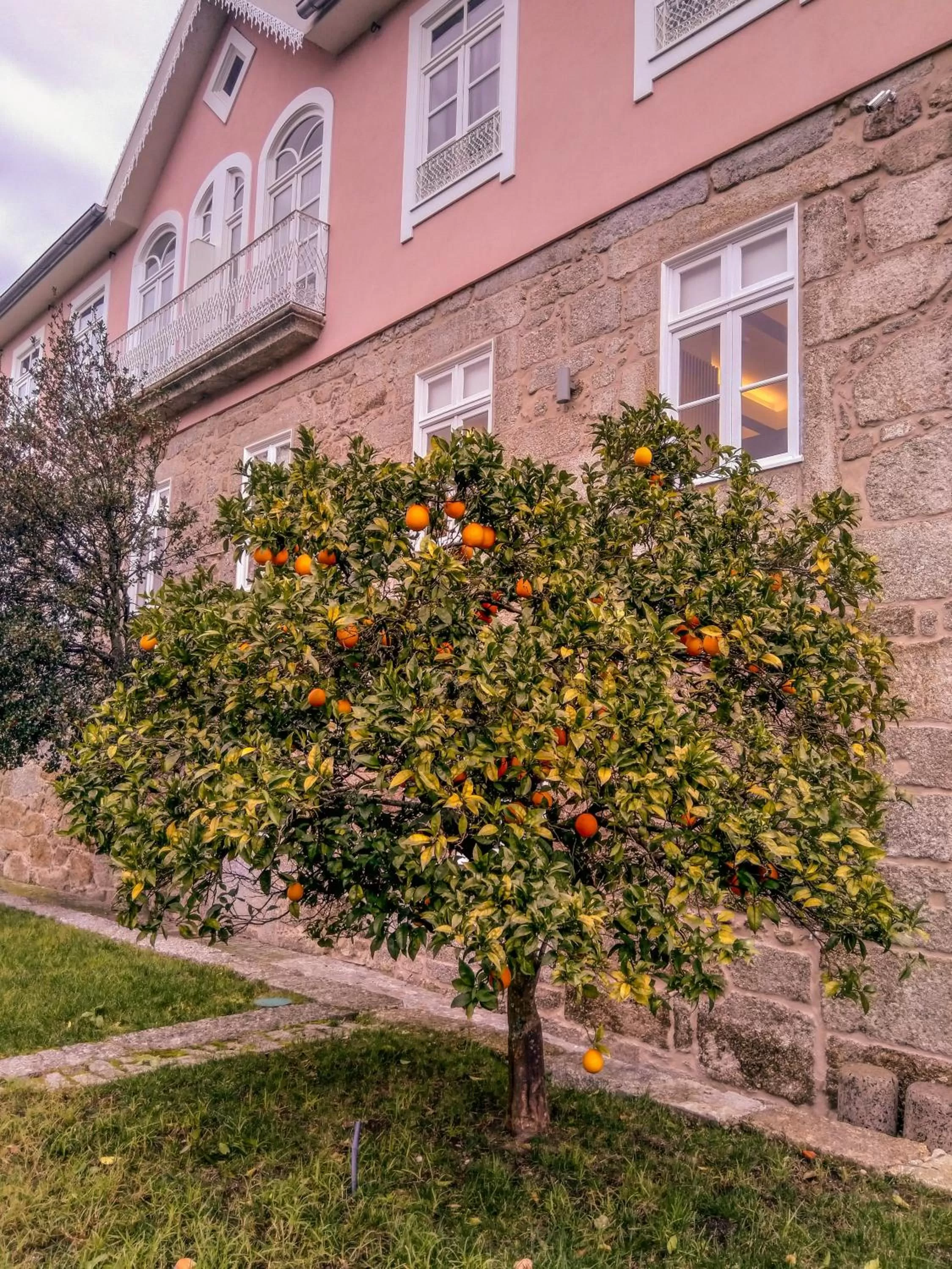 Property building in Ribeira Collection Hotel by Piamonte Hotels