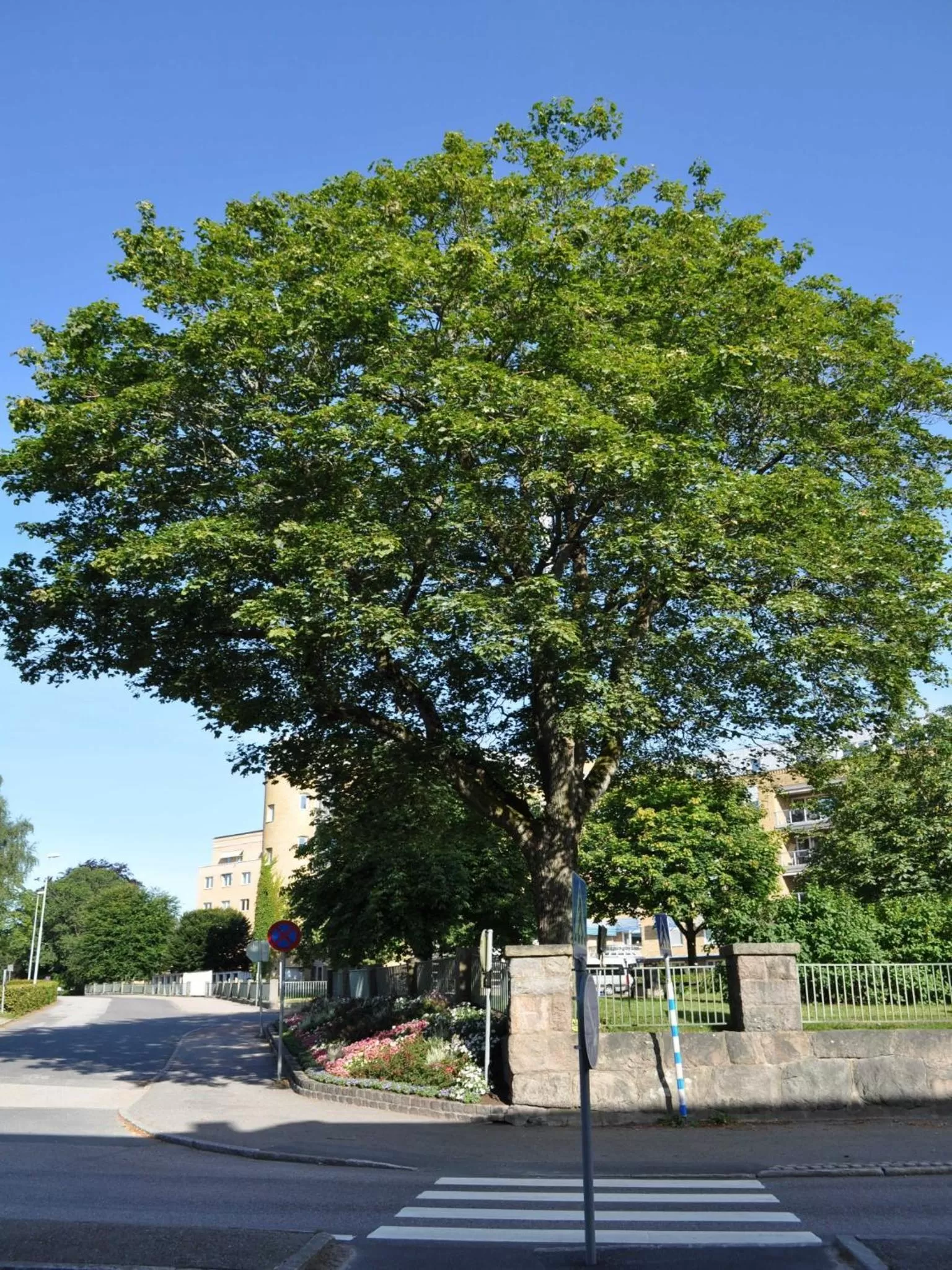 Neighbourhood in Hotell Linnéa