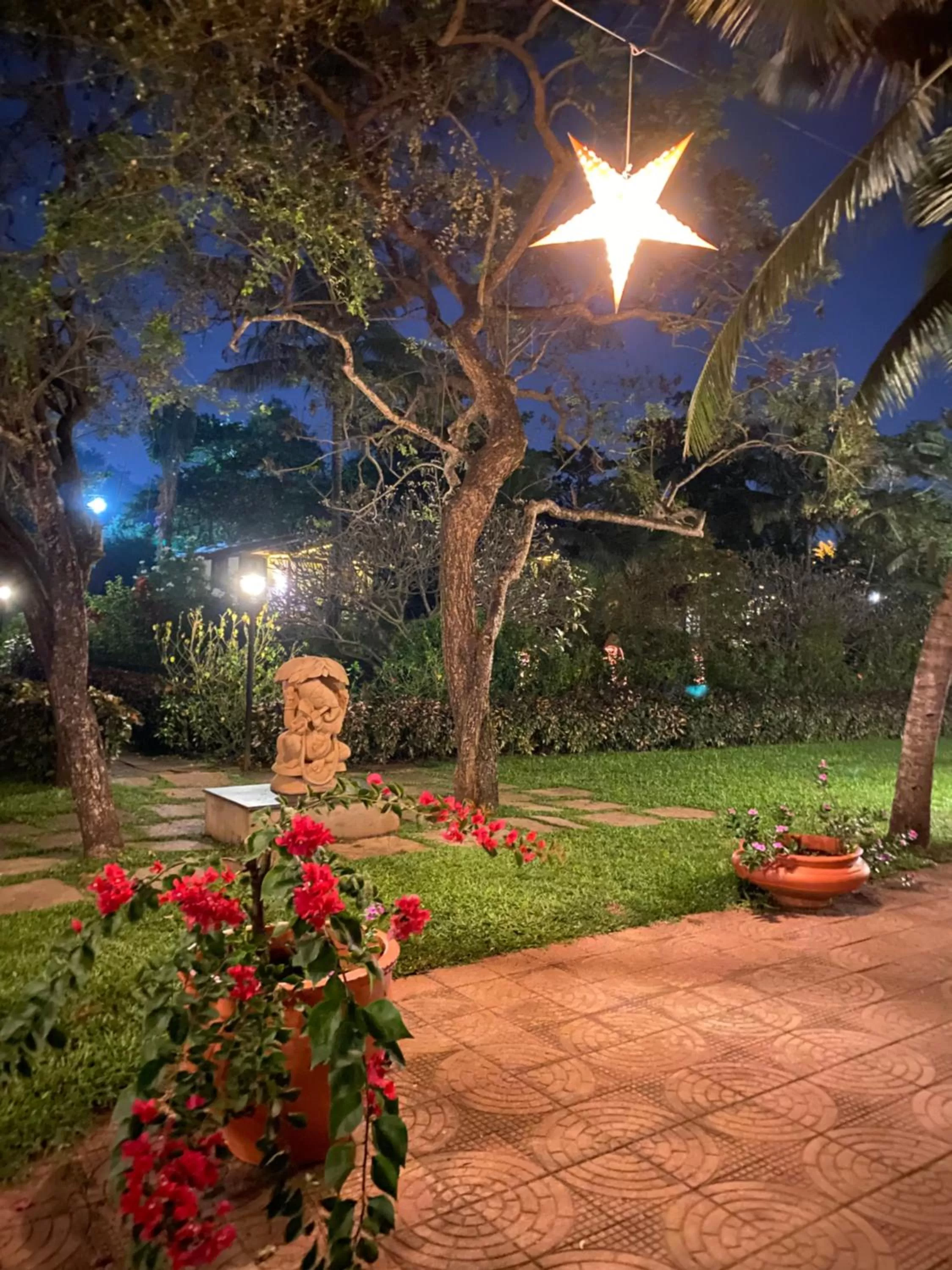 Night, Garden in Chalston Beach Resort