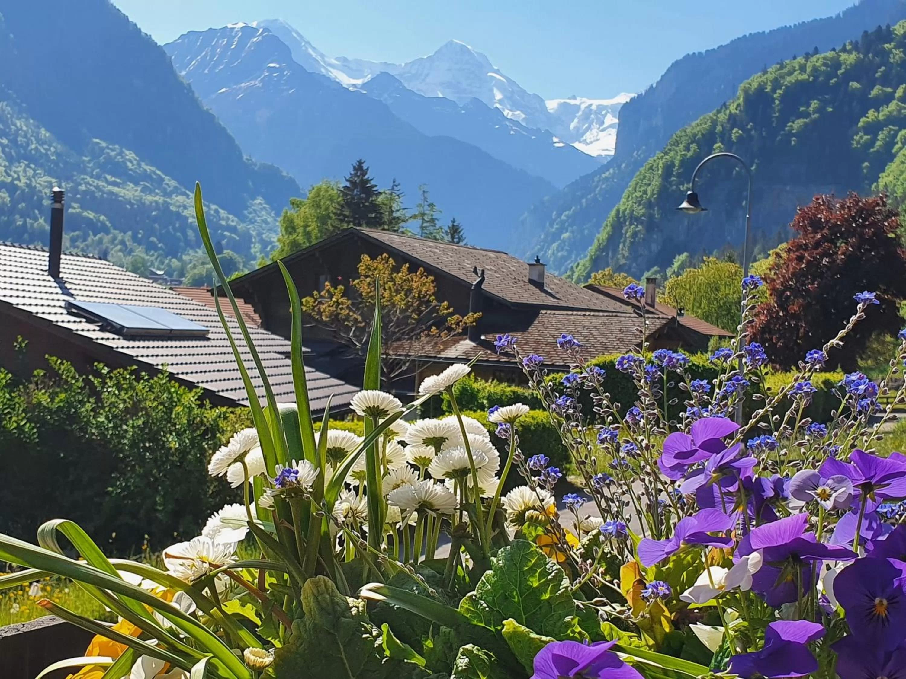 Garden in Chalet-Gafri - BnB - Frühstückspension und Gastfreundschaft