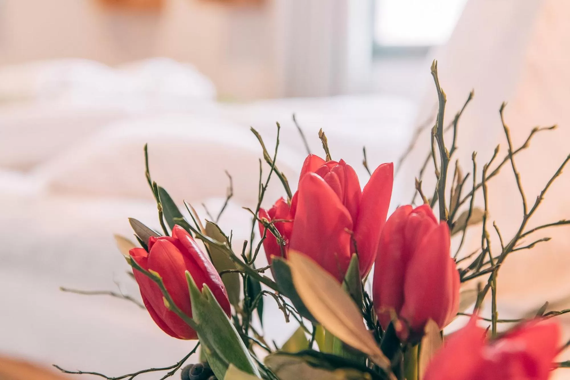 Restaurant/places to eat, Bed in Biohotel Kunstquartier