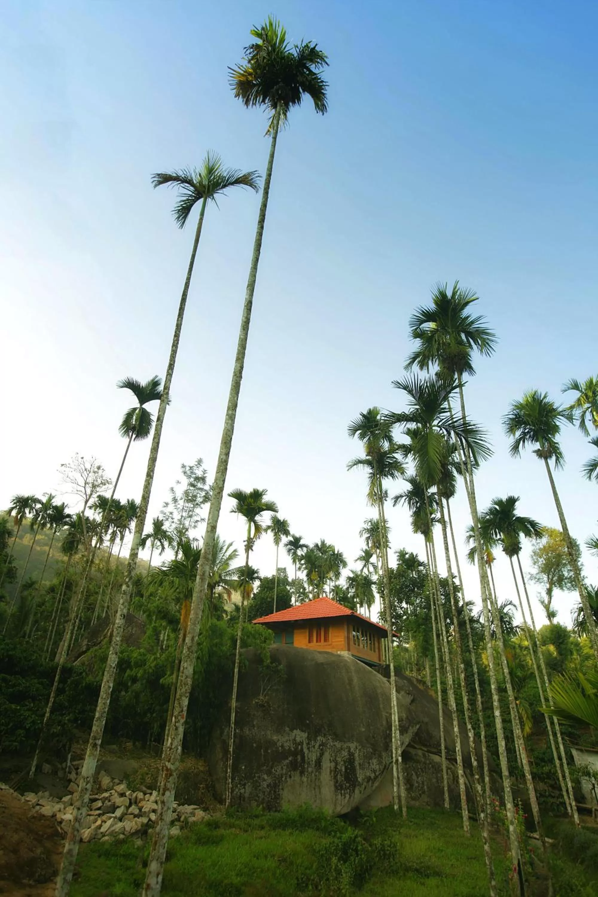 Marmalade Springs Resort Wayanad