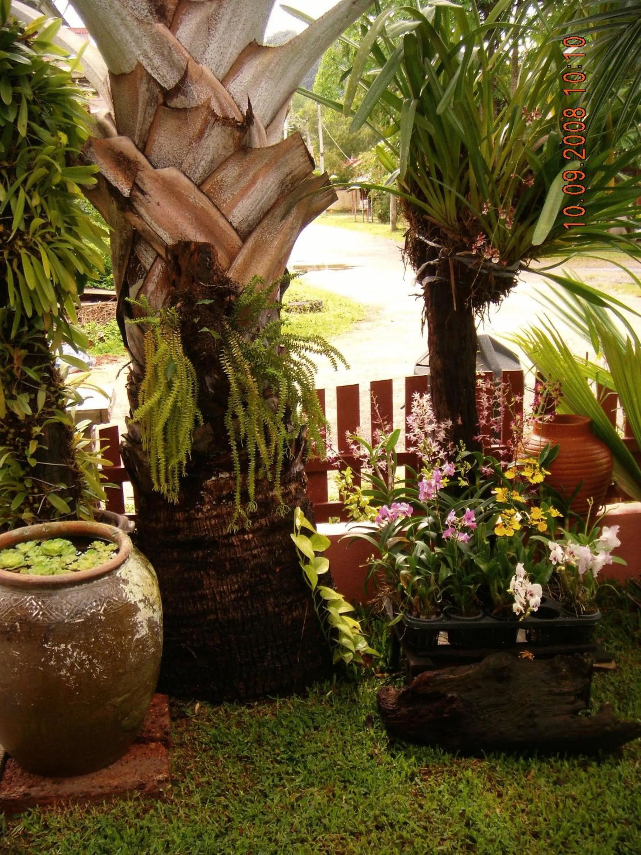 Garden in Ao Nang Home Stay - Adults Only