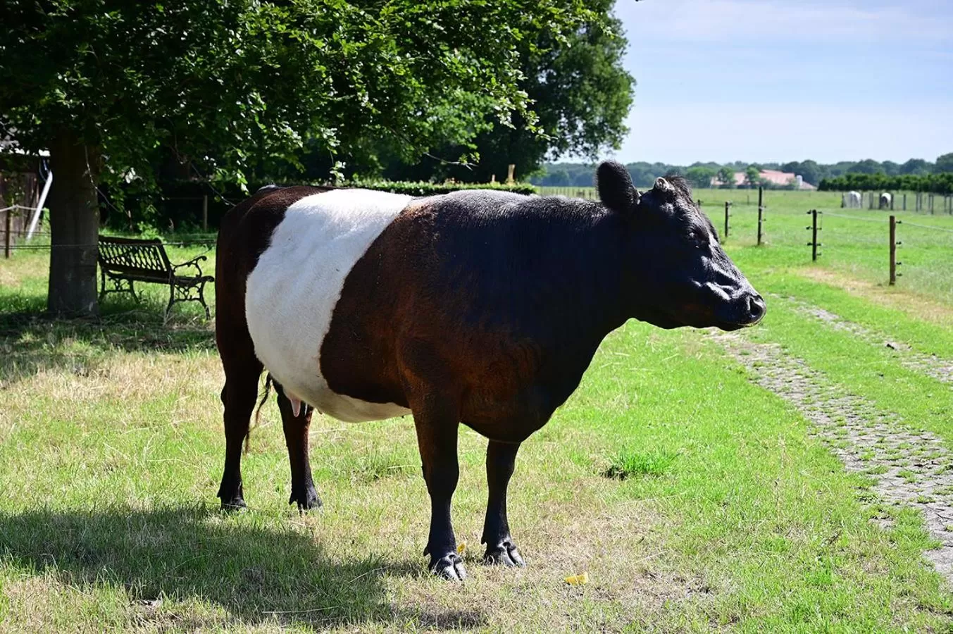 De Lakenvelder B&B Eersel