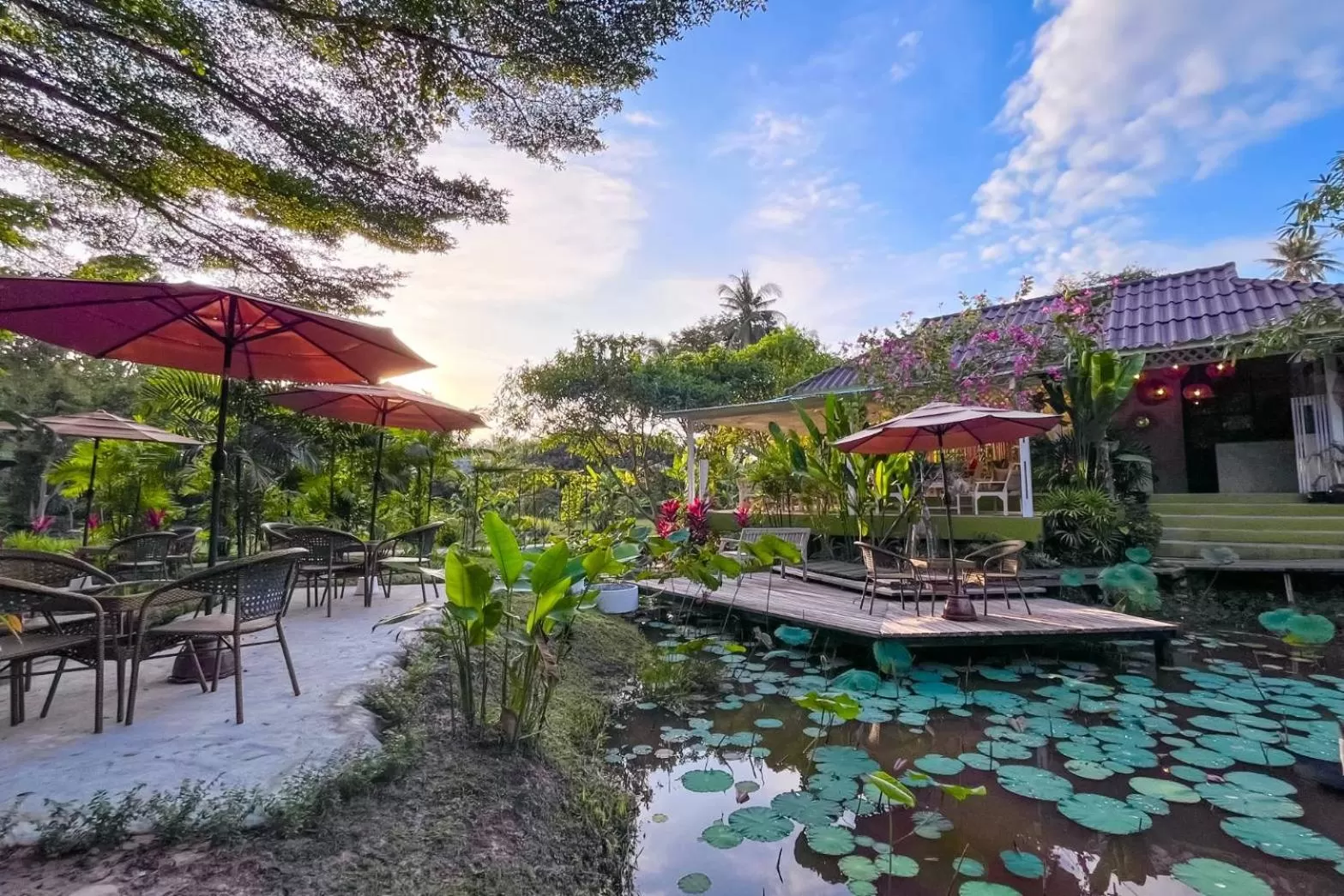 Restaurant/places to eat in Baan Bua Cottage SHA EXTRA PLUS B5510