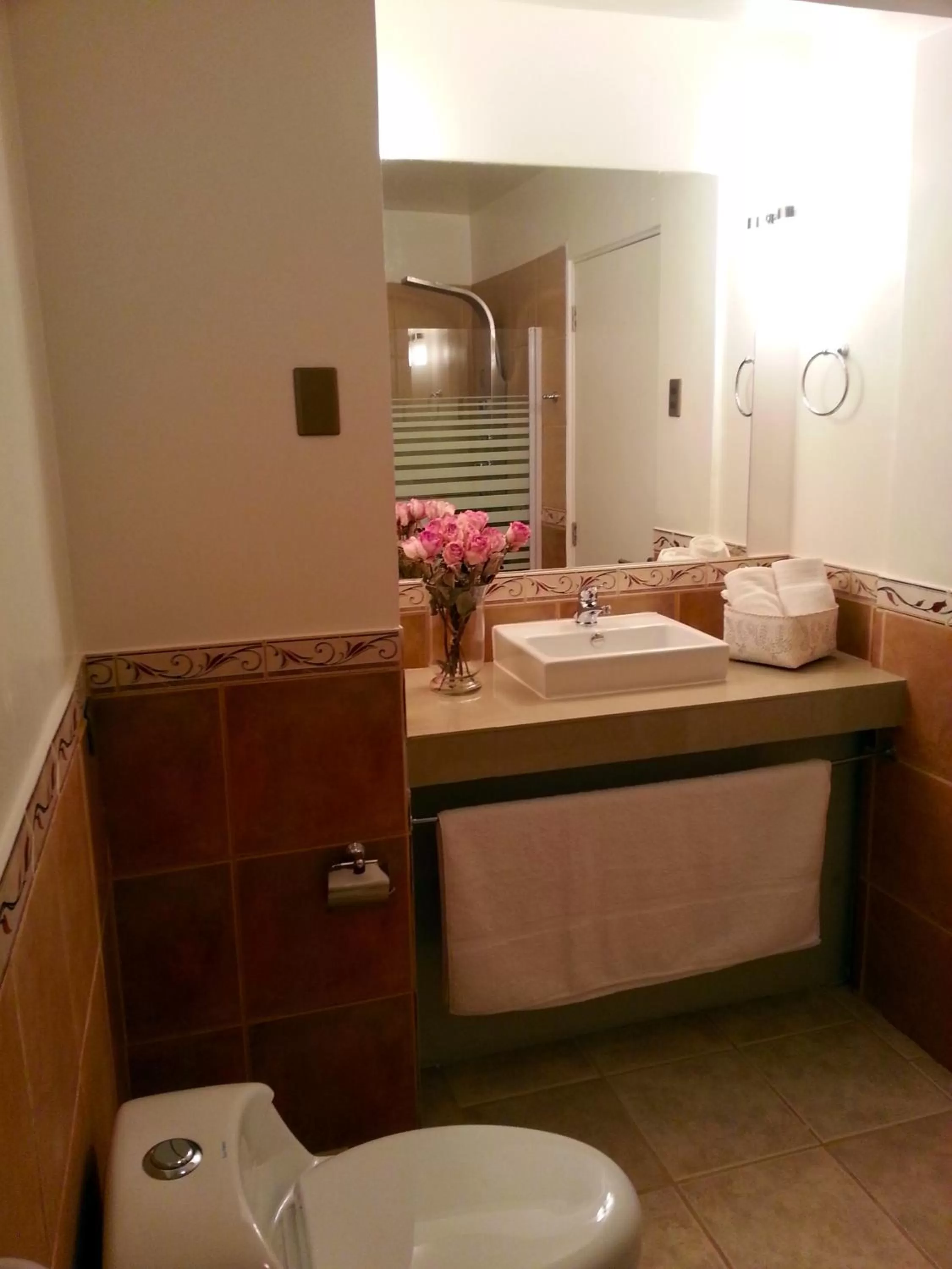 Bathroom in Atankalama