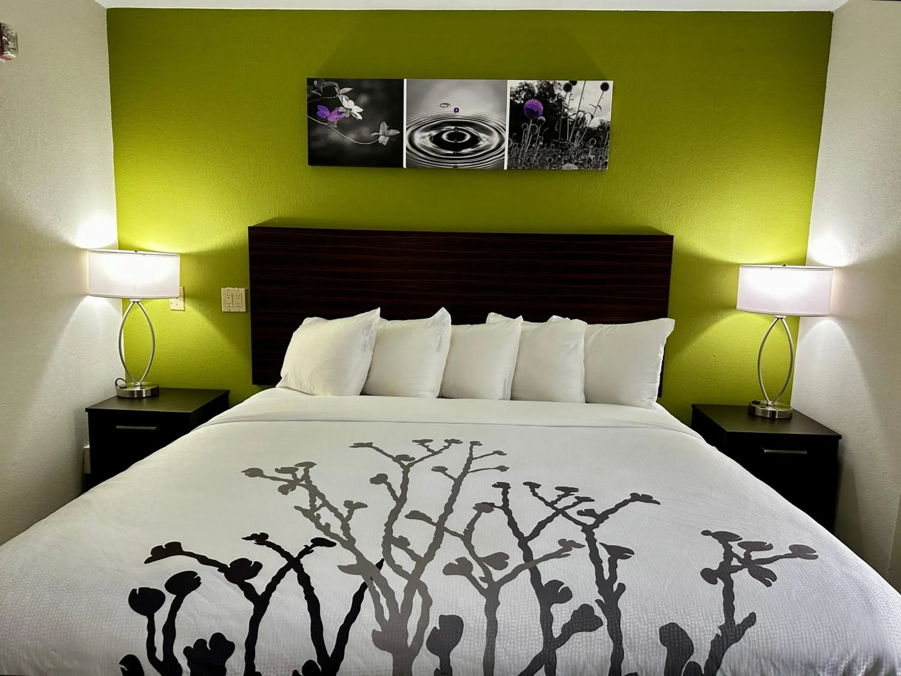 King Room - Accessible/Non Smoking in Sleep Inn Savannah Gateway I-95 King Room - Accessible/Non Smoking in Sleep Inn Savannah Gateway I-95