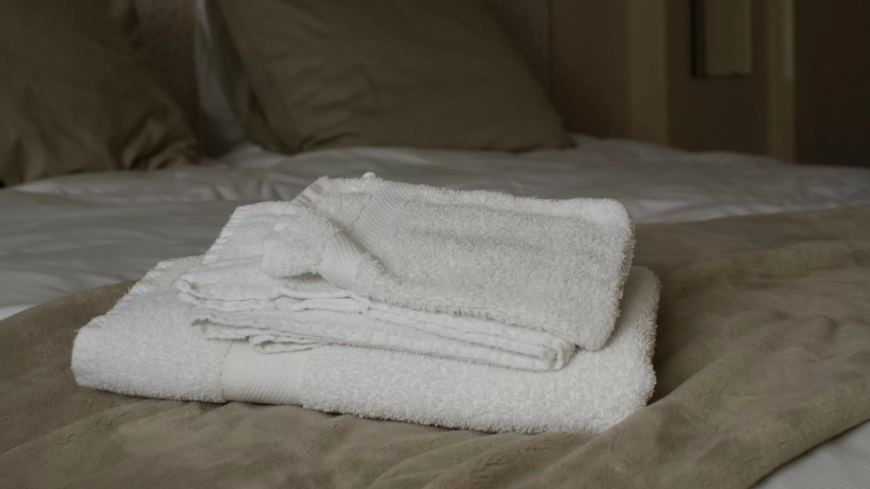 Bed in In den Roden Leeuw van Limburg