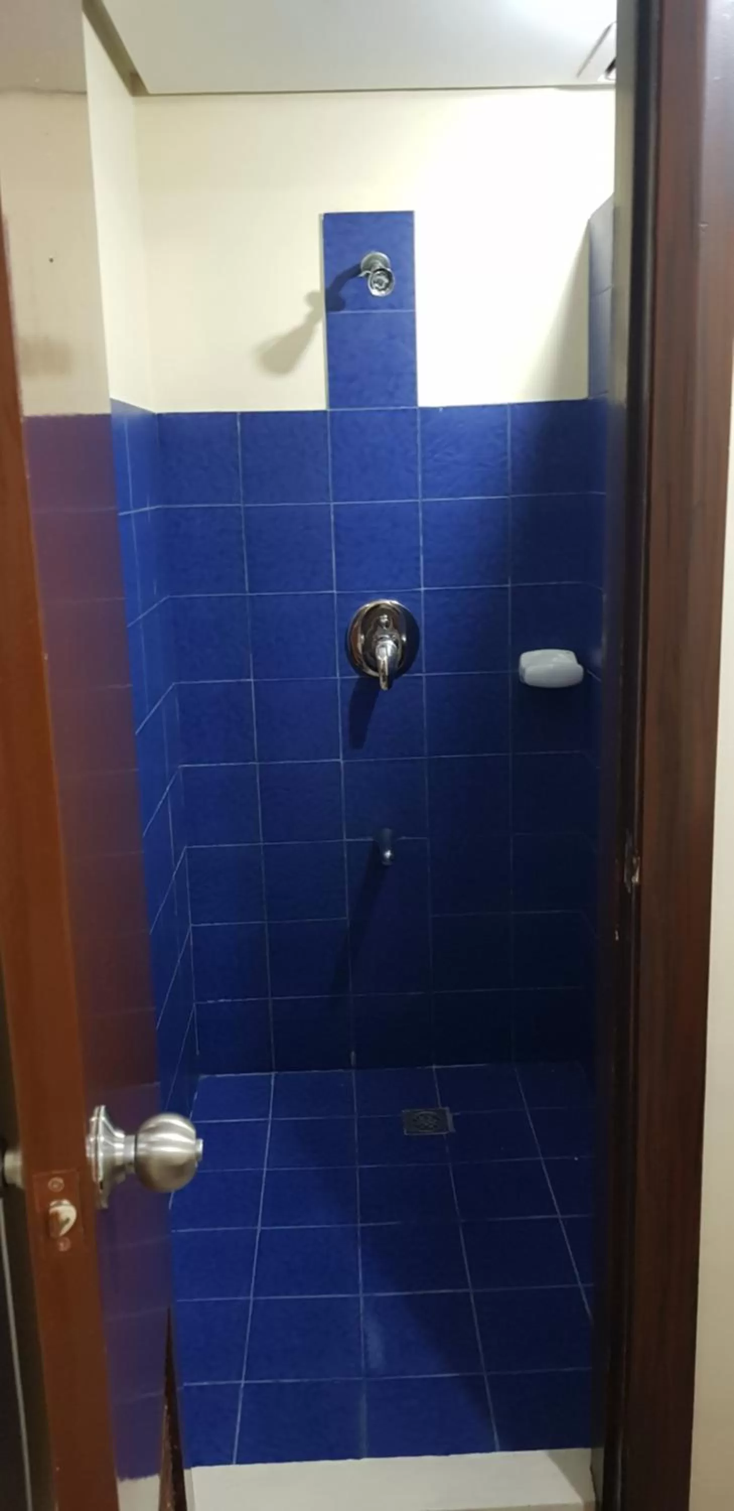 The Half House by Elmar Cabin