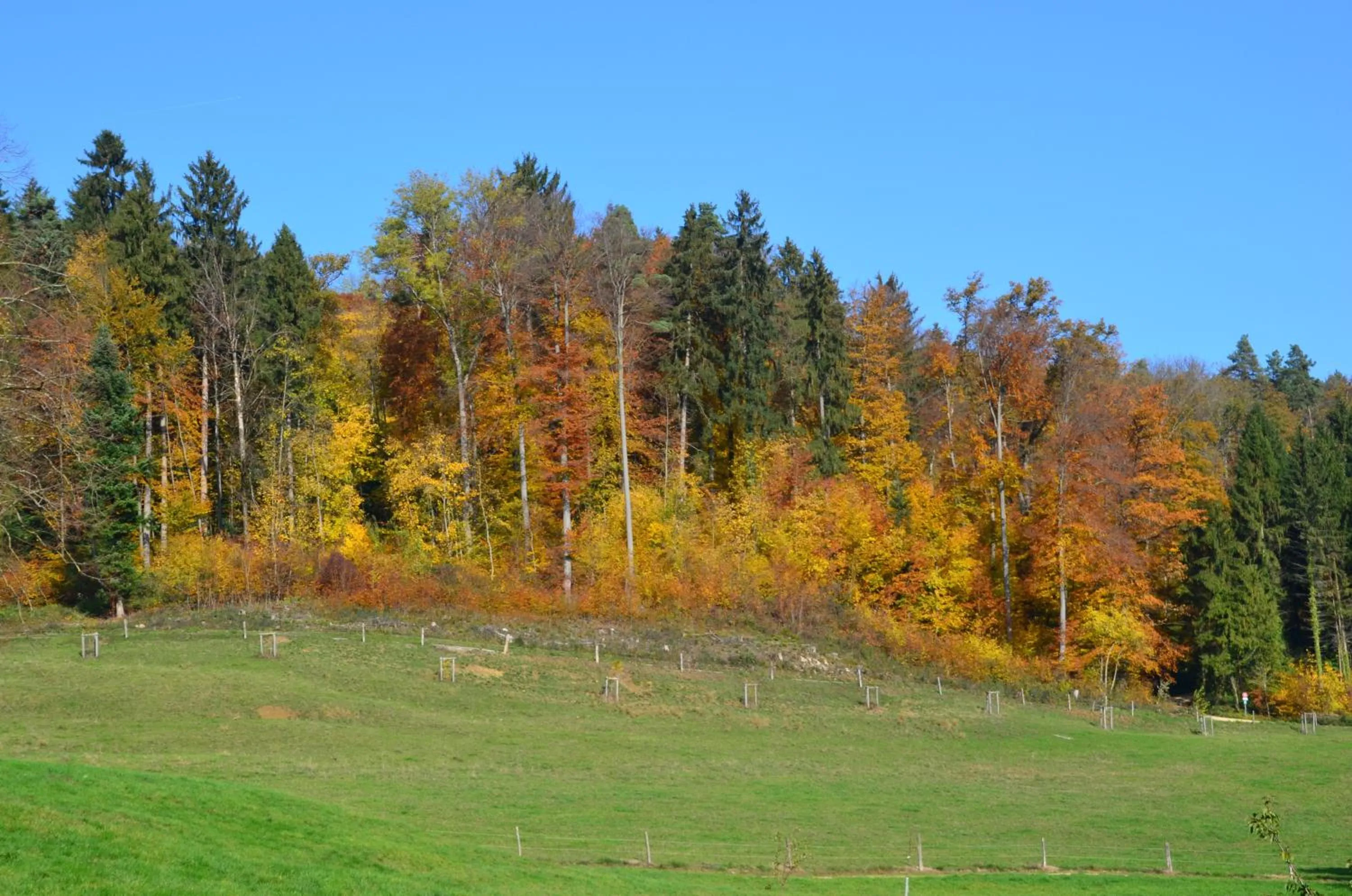 Day in Bad Schauenburg