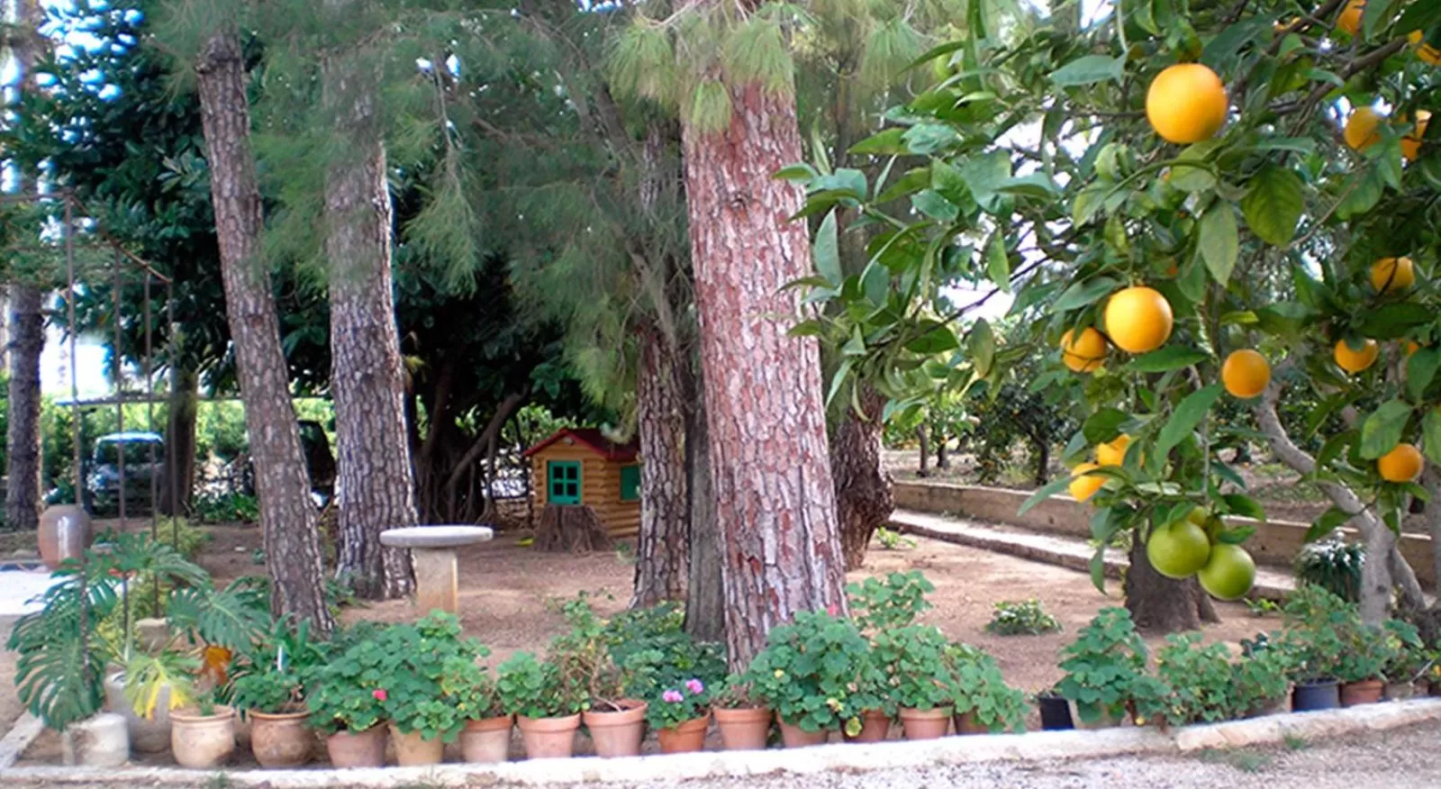 Garden in El Sequer Casa Rural