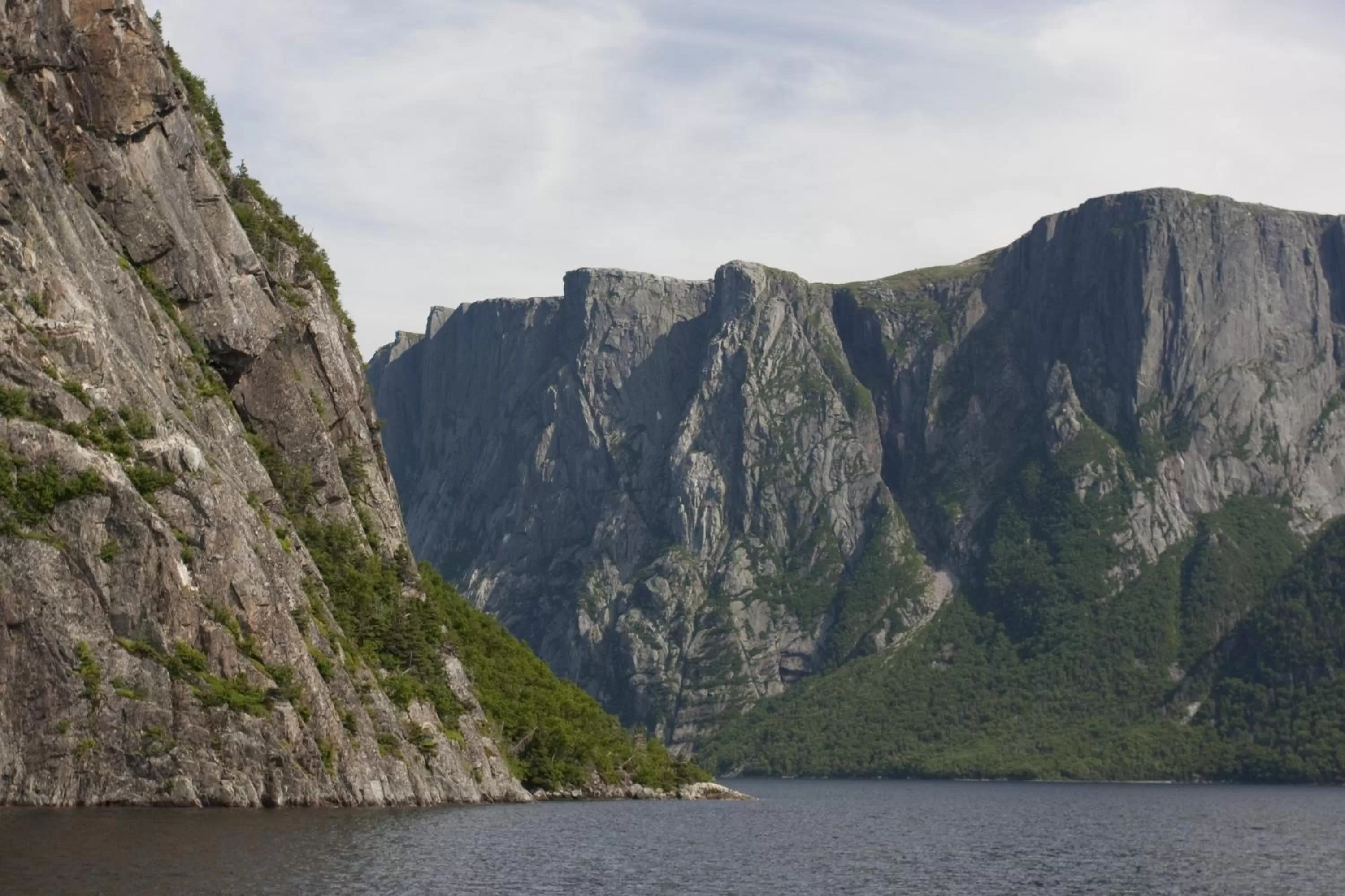 Other in Deer Lake Horizon Hotel, BW Signature Collection