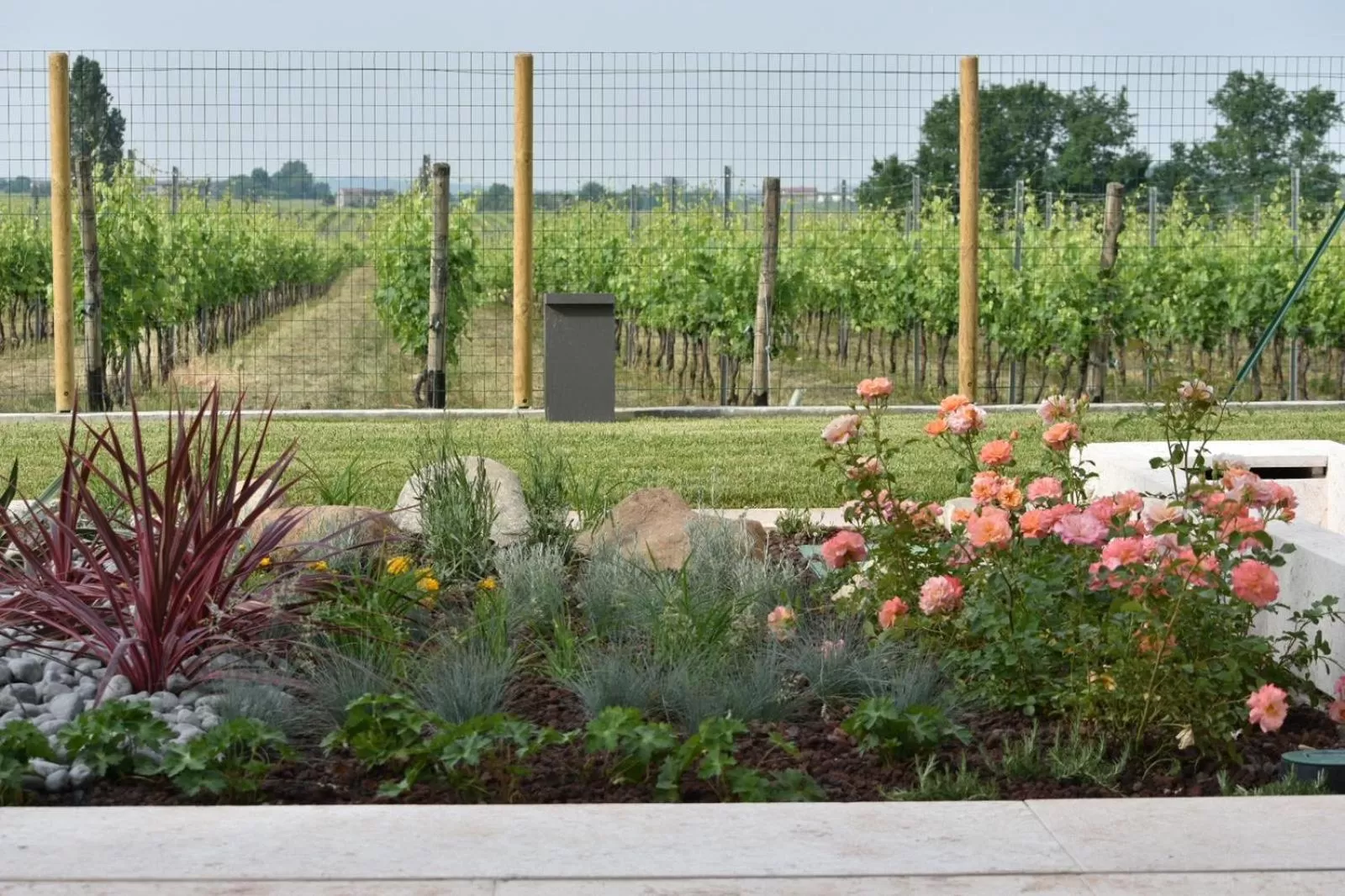 Garden in Il Vigneto