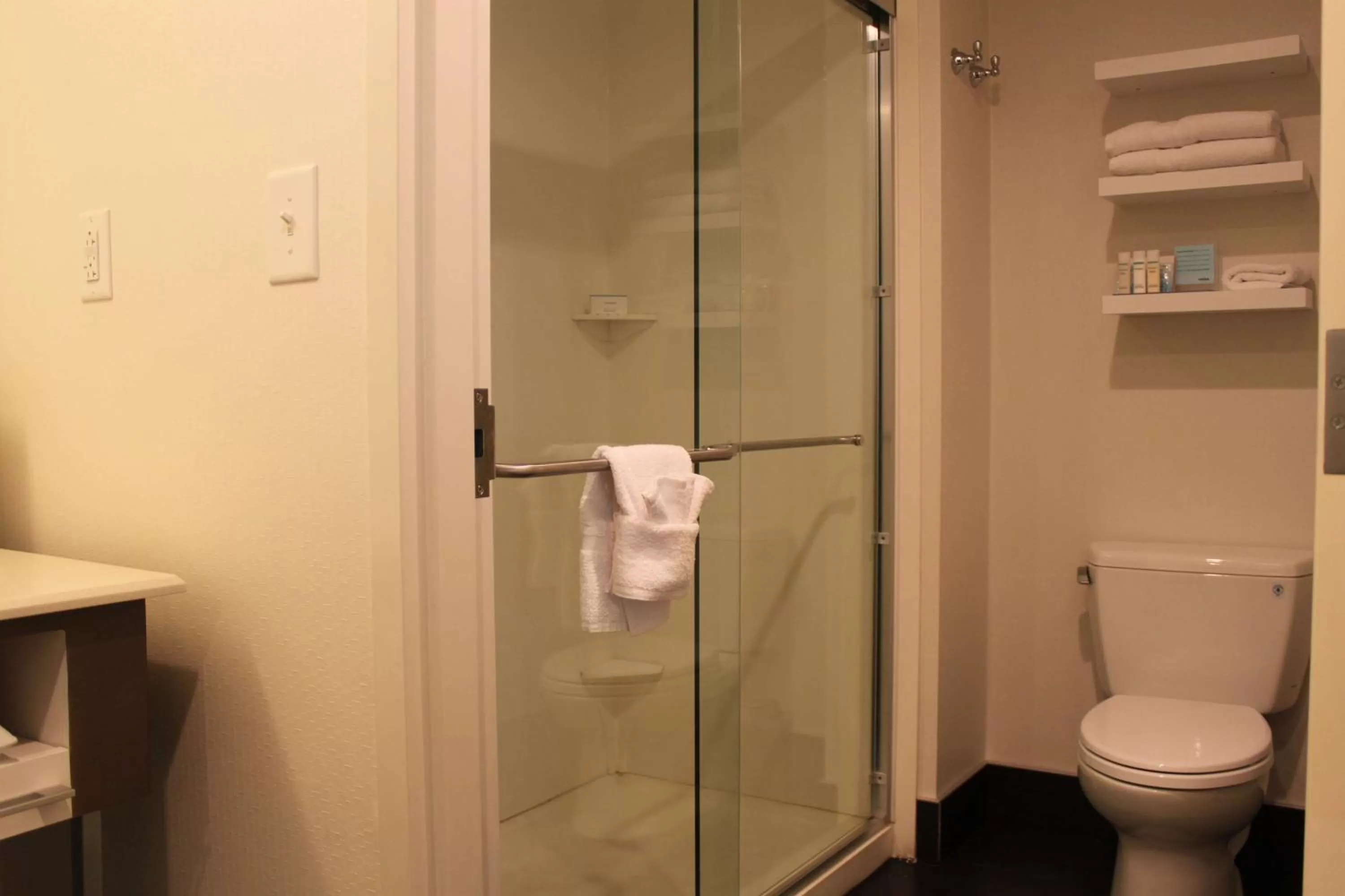 Bathroom in Hampton Inn Bainbridge, GA