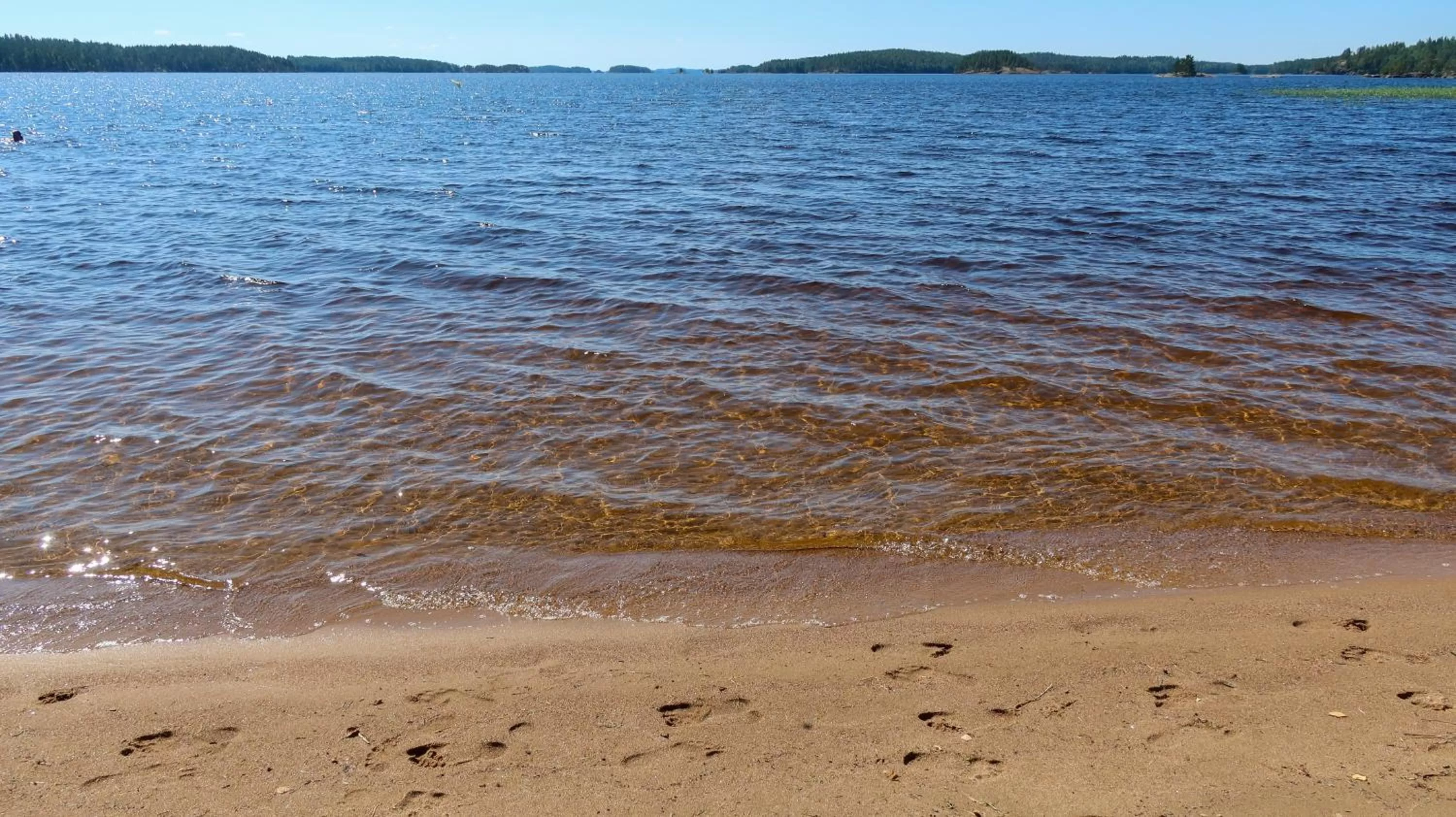 Natural landscape, Beach in Pistohiekka Resort