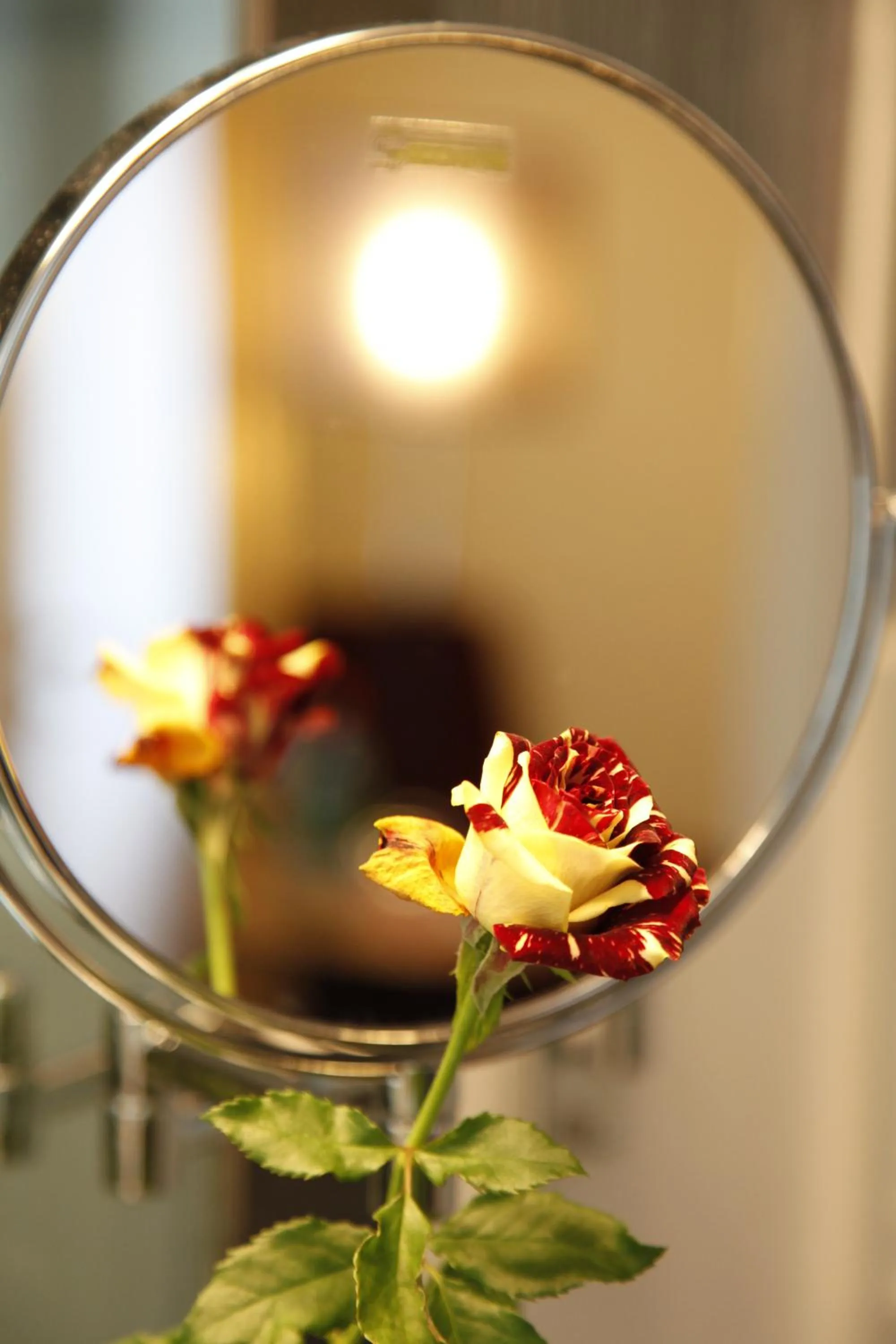 Lobby or reception in Comfort Hotel tom Kyle