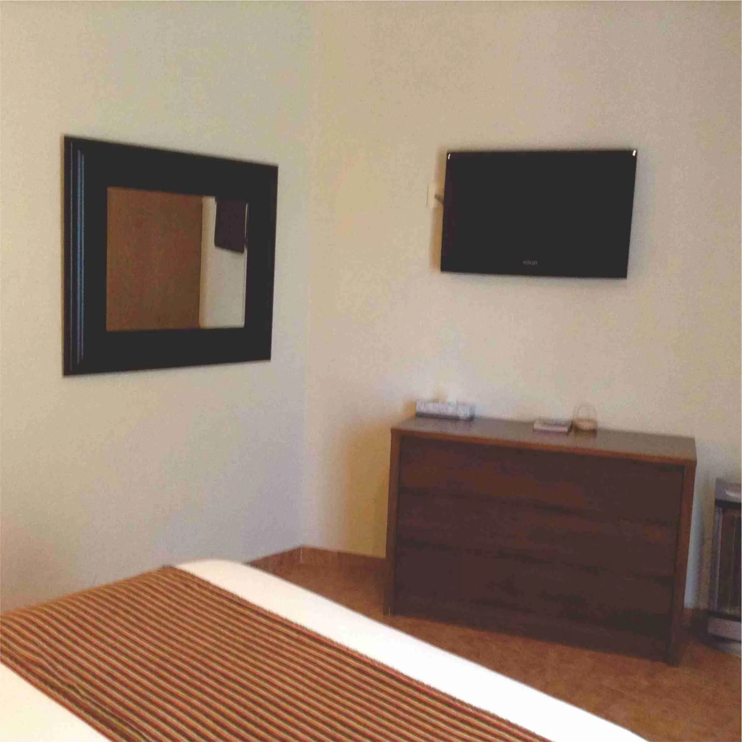 TV and multimedia in Hotel Boutique La Granja