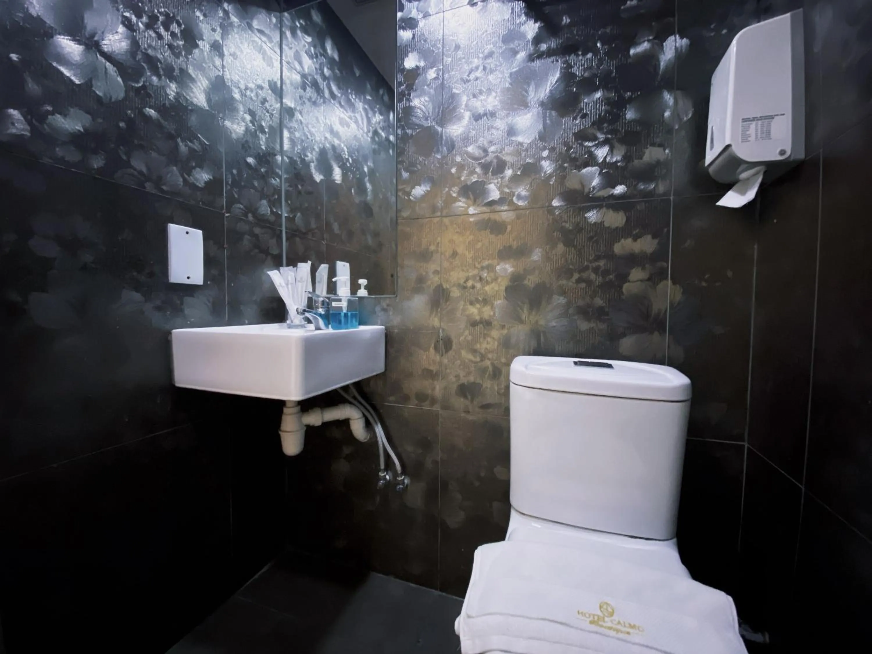 Hotel Calmo Chinatown