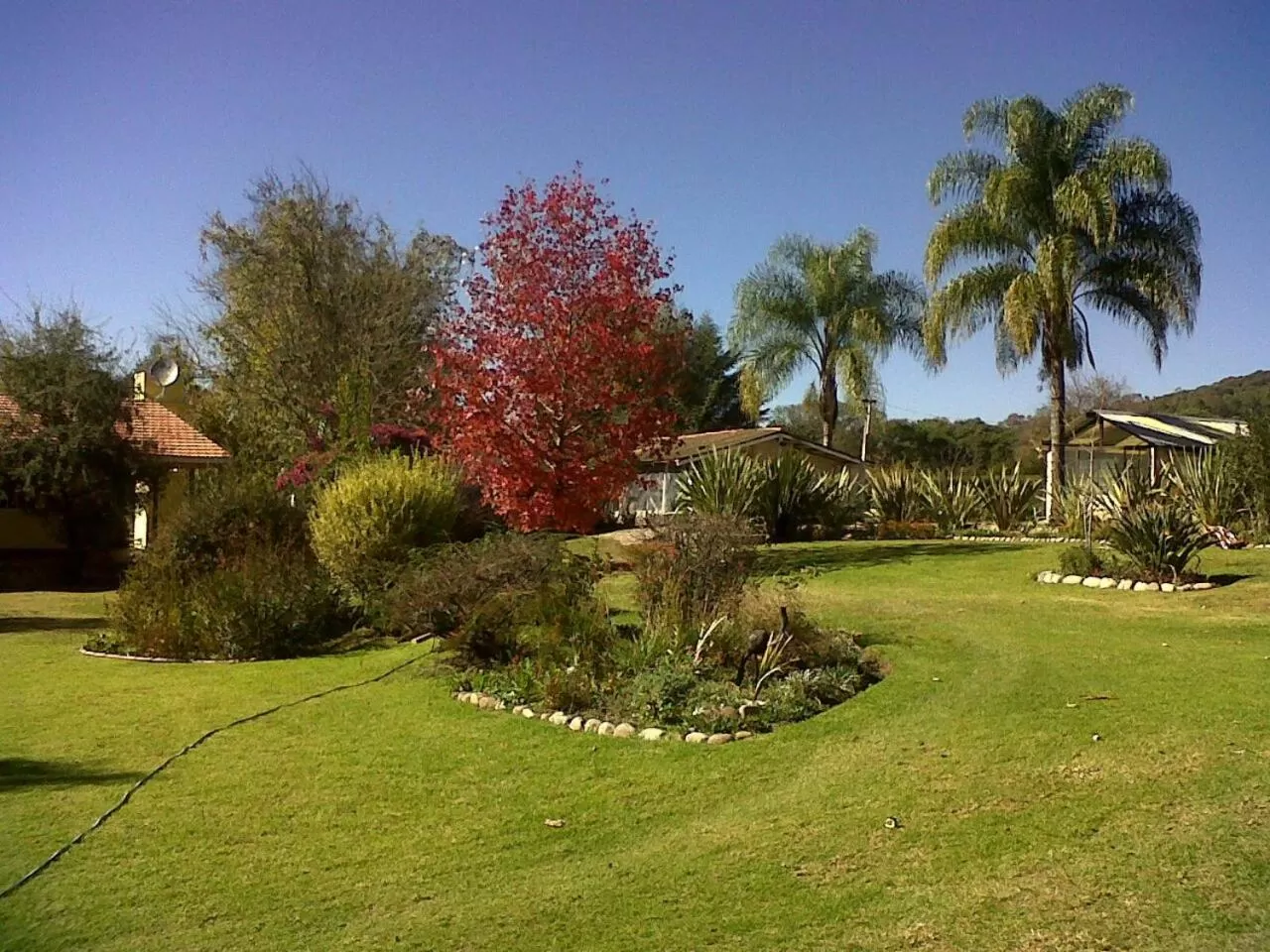 Garden view, Garden in Finca Cielo Verde