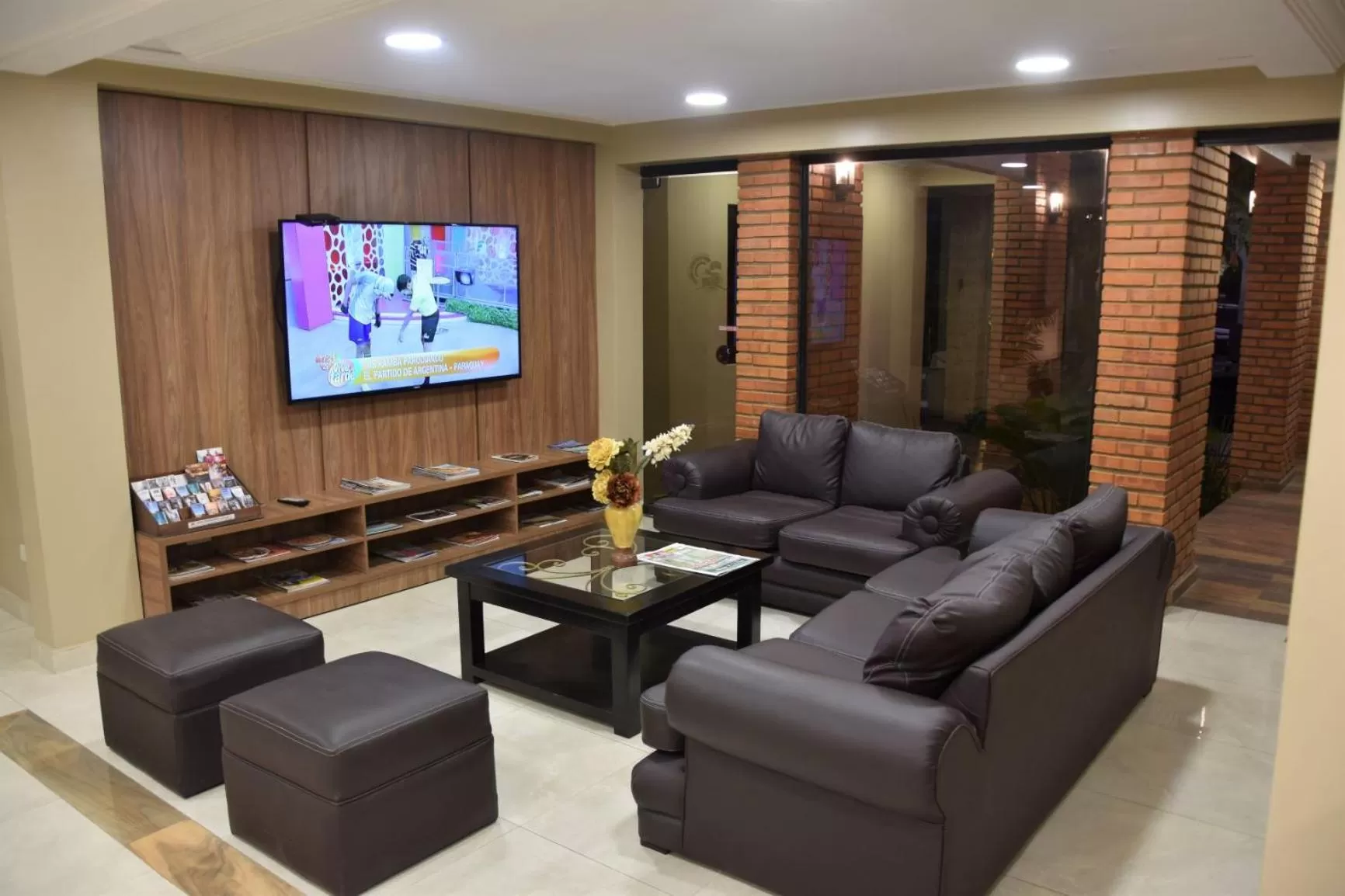 TV and multimedia in Posada del Cielo