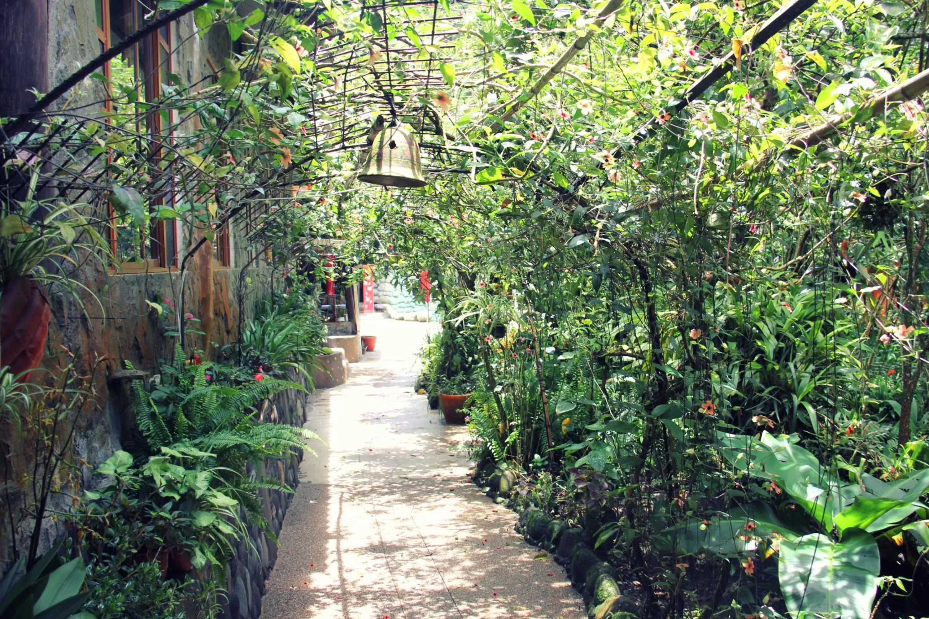 Garden in Spa Hosteria Miramelindo