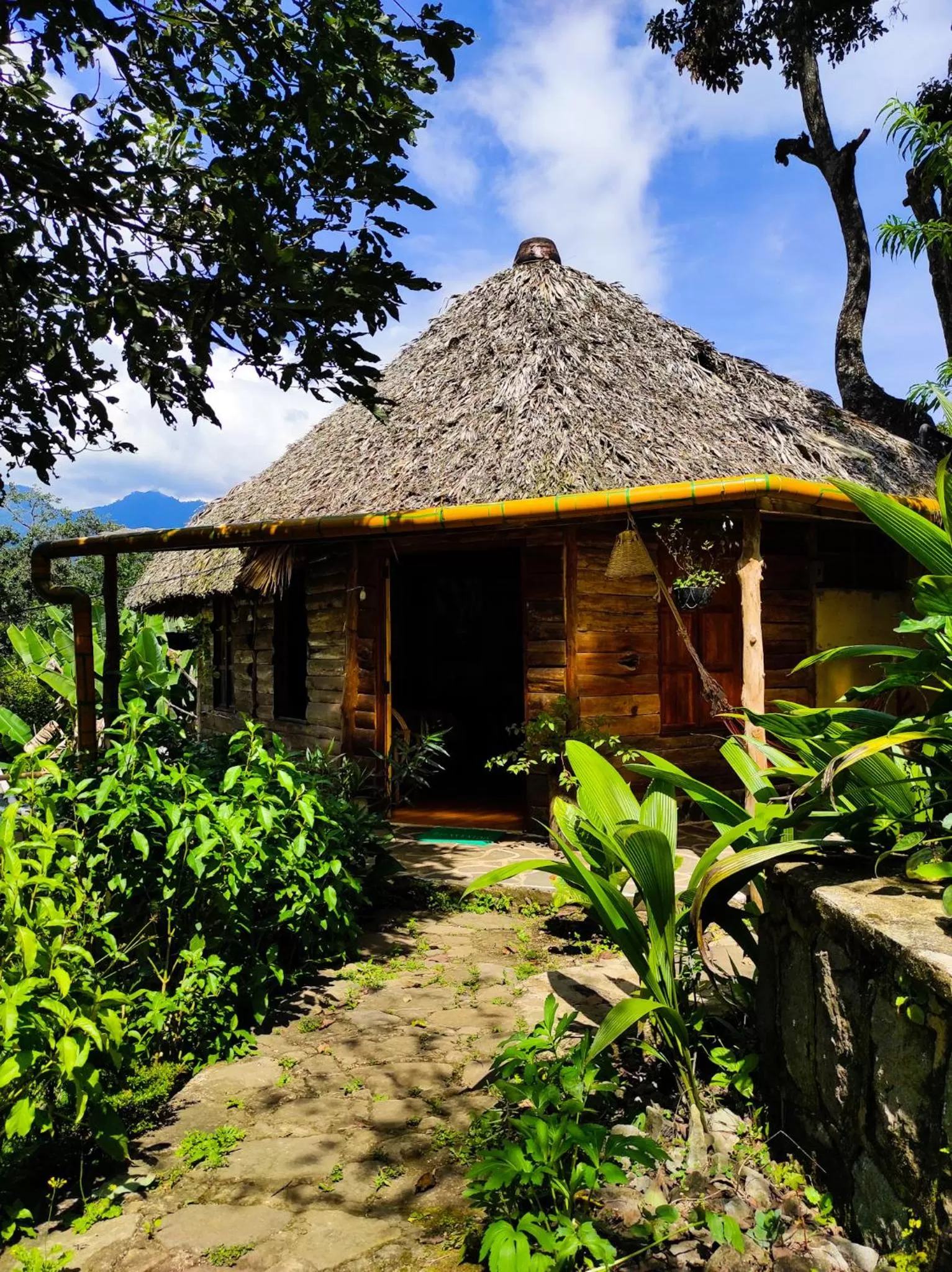 Natural landscape, Property Building in Eco-Hotel Mayachik