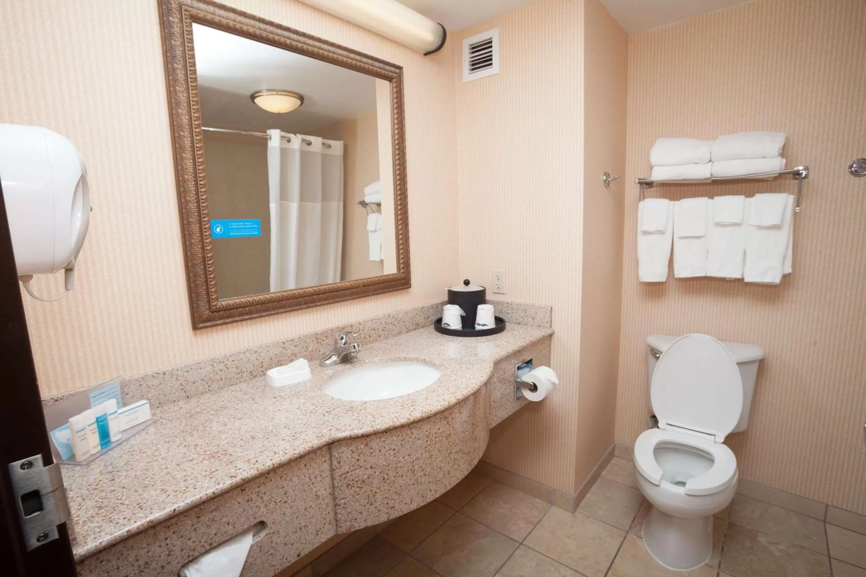 Bathroom in Hampton Inn Oneonta