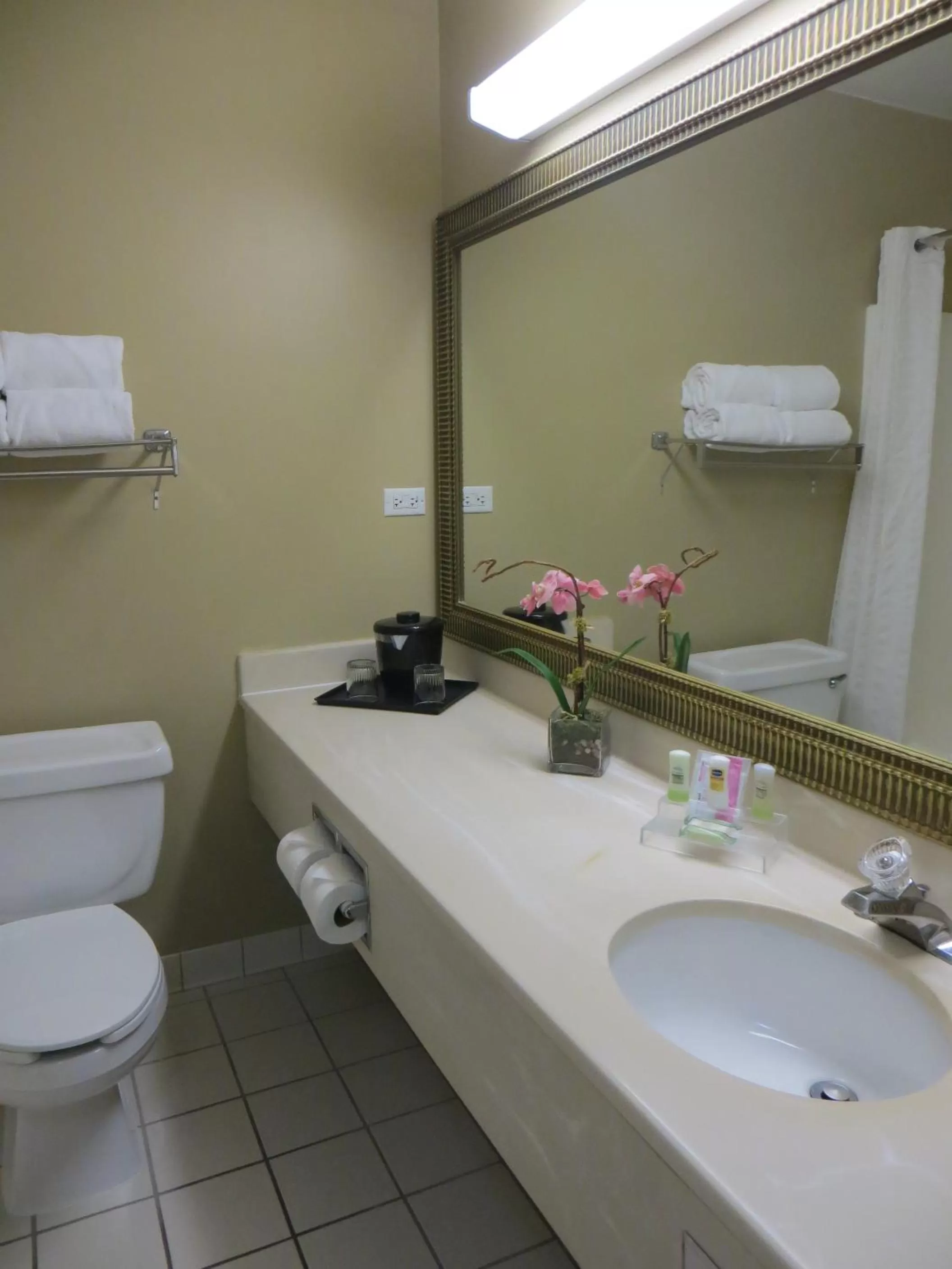 Bathroom in Country Inn & Suites by Radisson, Gurnee, IL