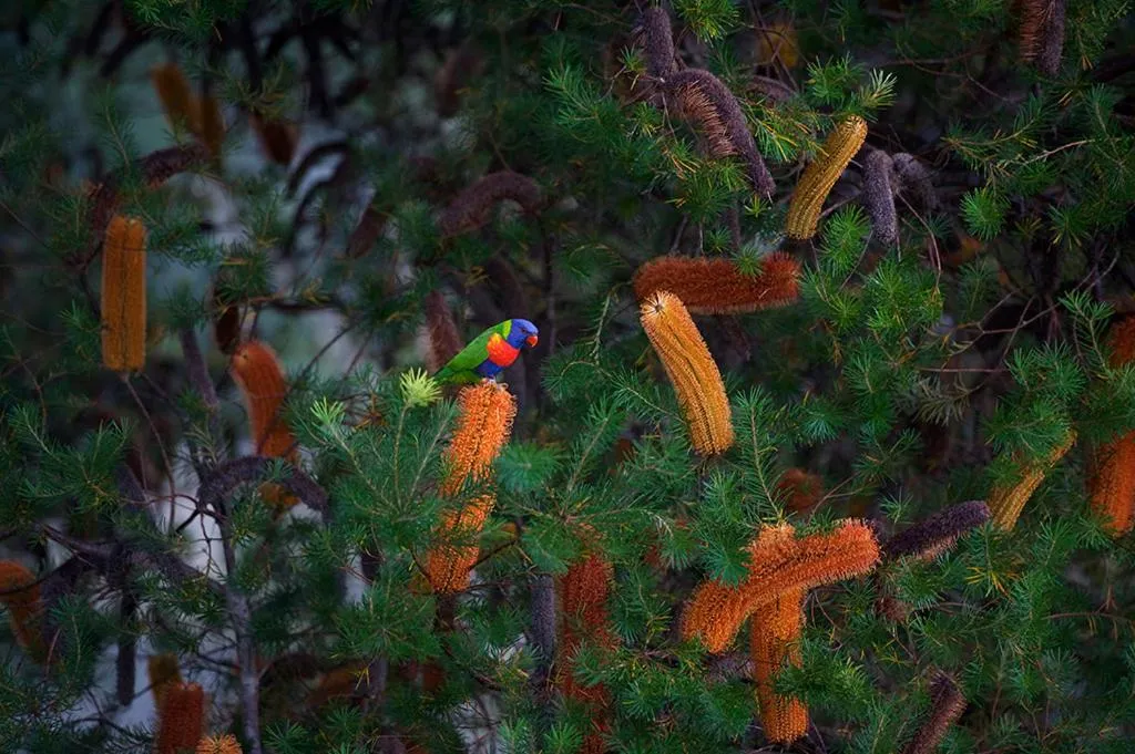 Other in Clarendon Forest Retreat