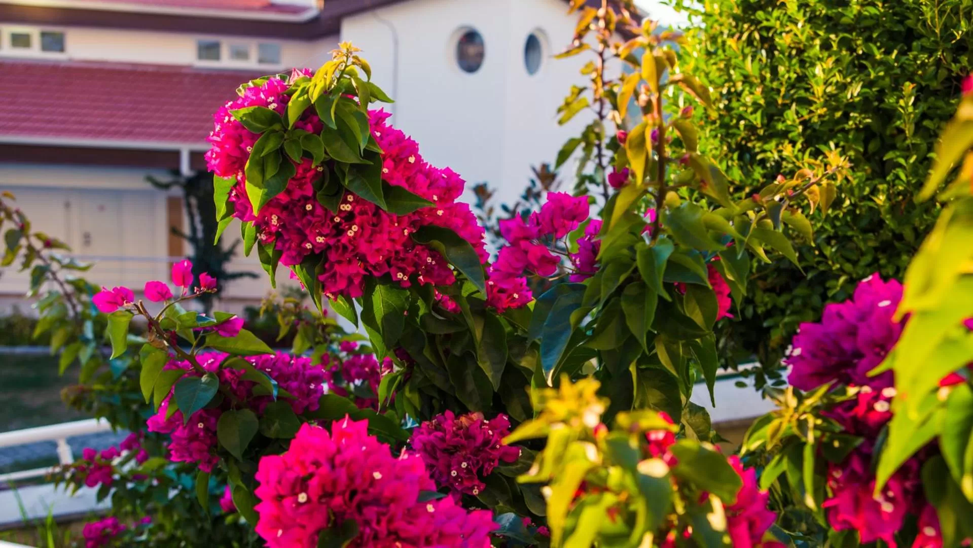 Day in Garcia Resort & Spa - Ultra All Inclusive