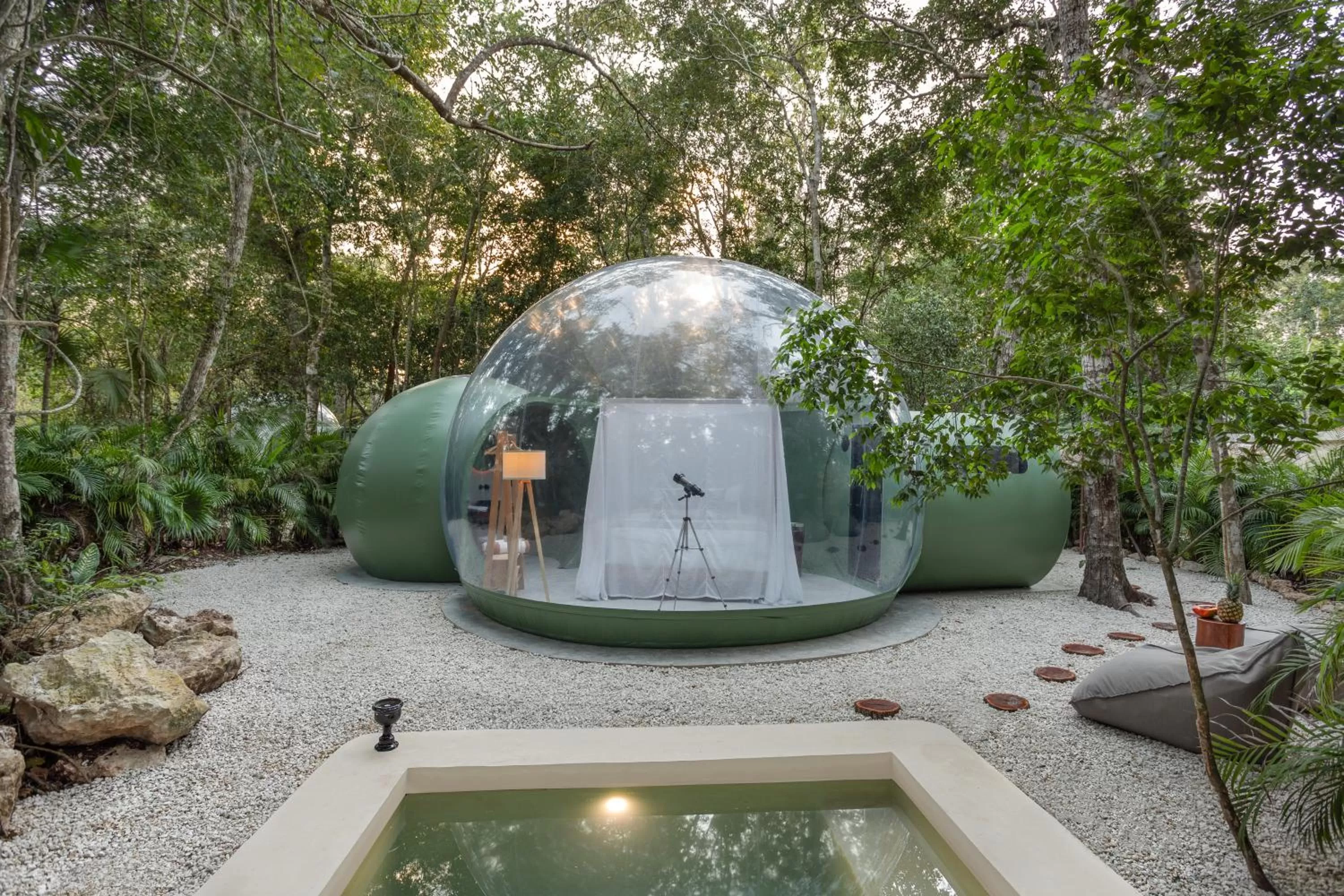 Garden view in Oom Bubble Boutique Riviera Cancun - Adults Only