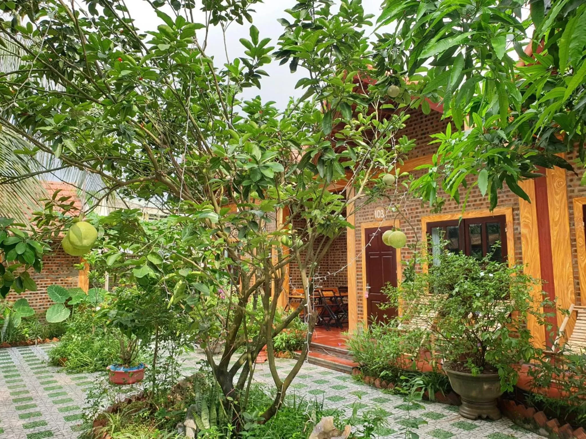 Property building in Tam Coc Vinh Thinh Homestay